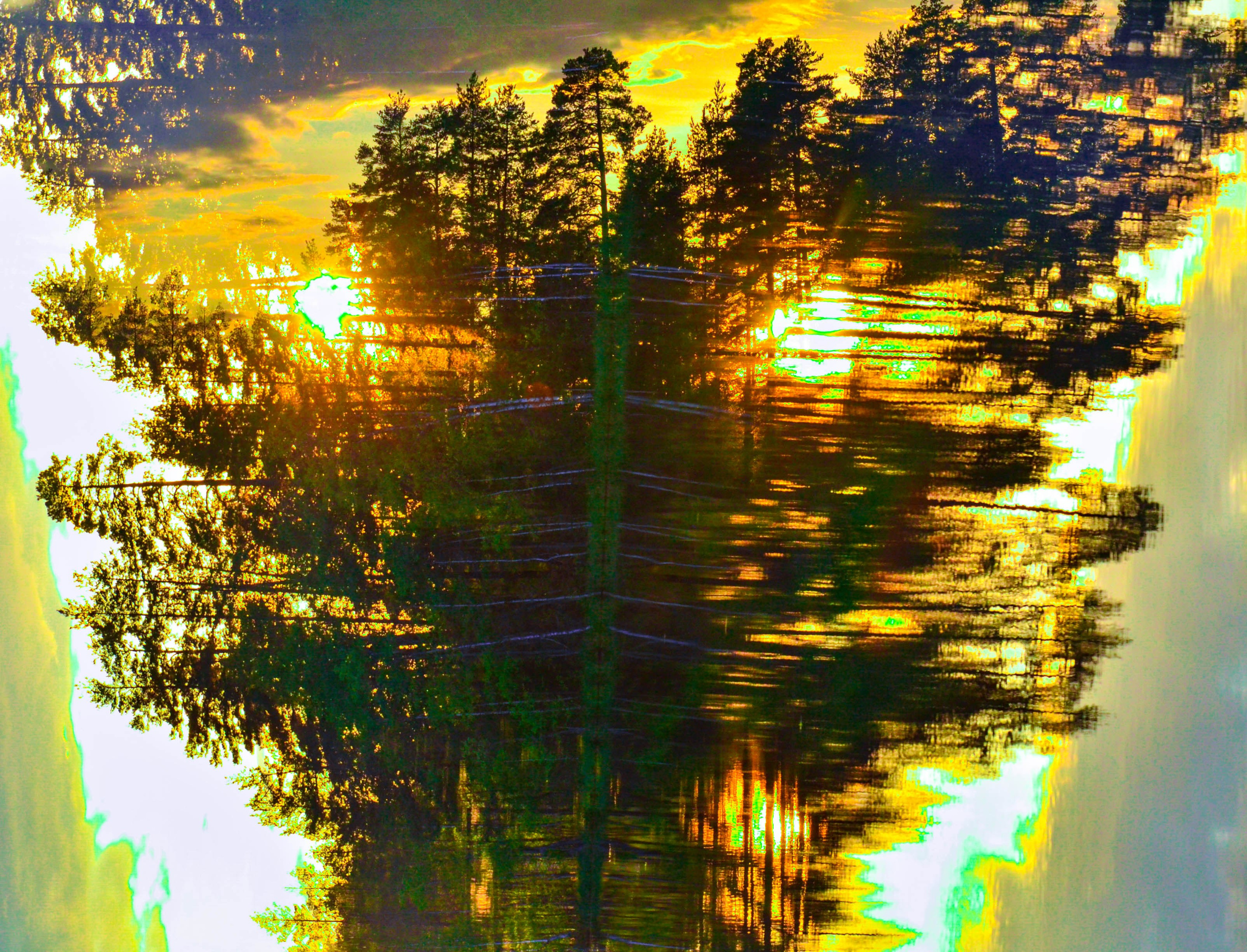 мультиэкспозиция петяярви двойная экспозиция  лес сосны артфото лесные духи озеро закат в лесу, 