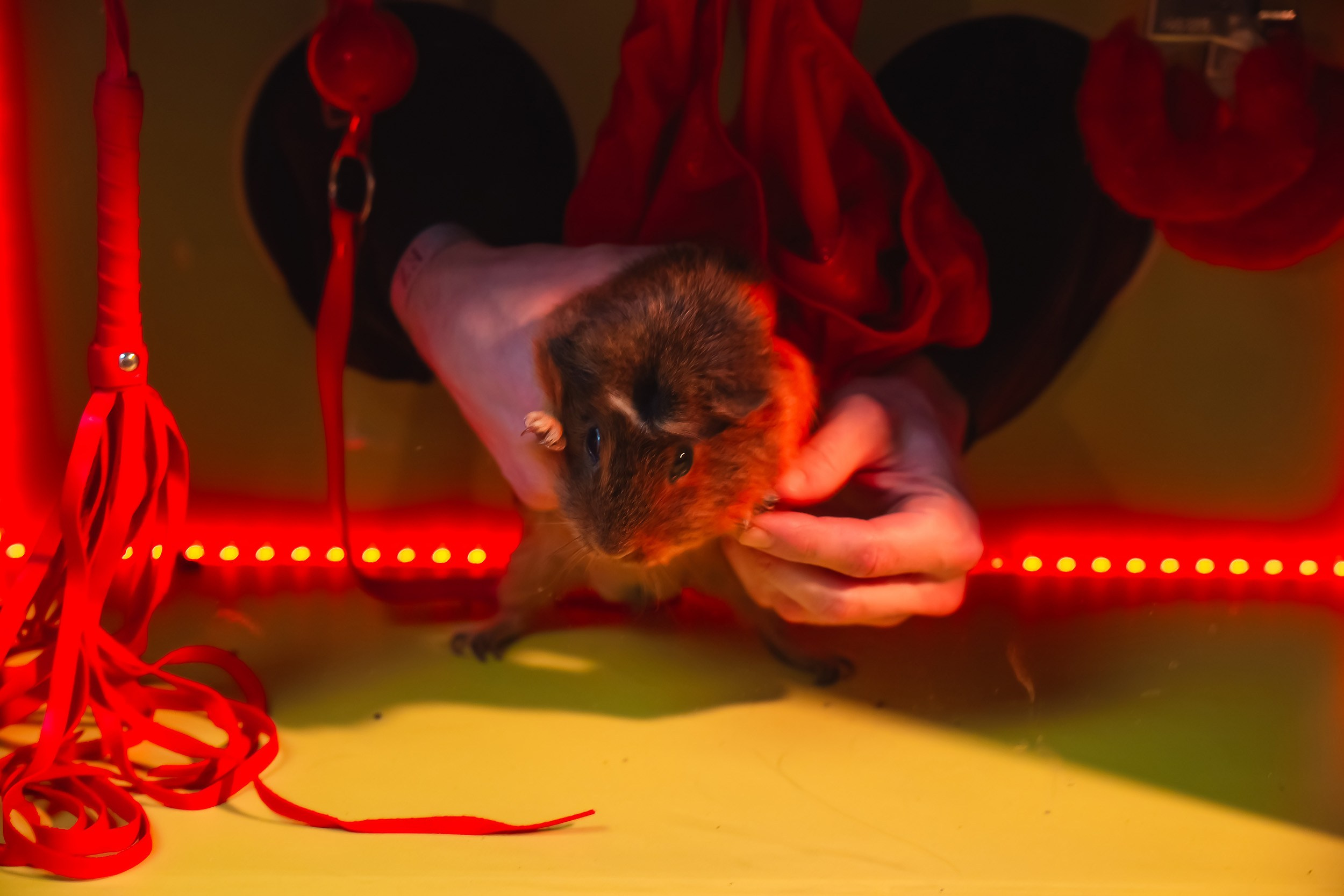 EZ. Кипятком Павлодар