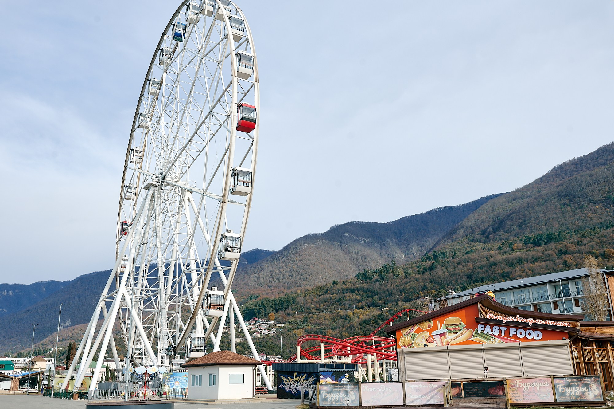 Гагра, Абхазия. Декабрь 2024. Фотографии отовсюду и обо всем