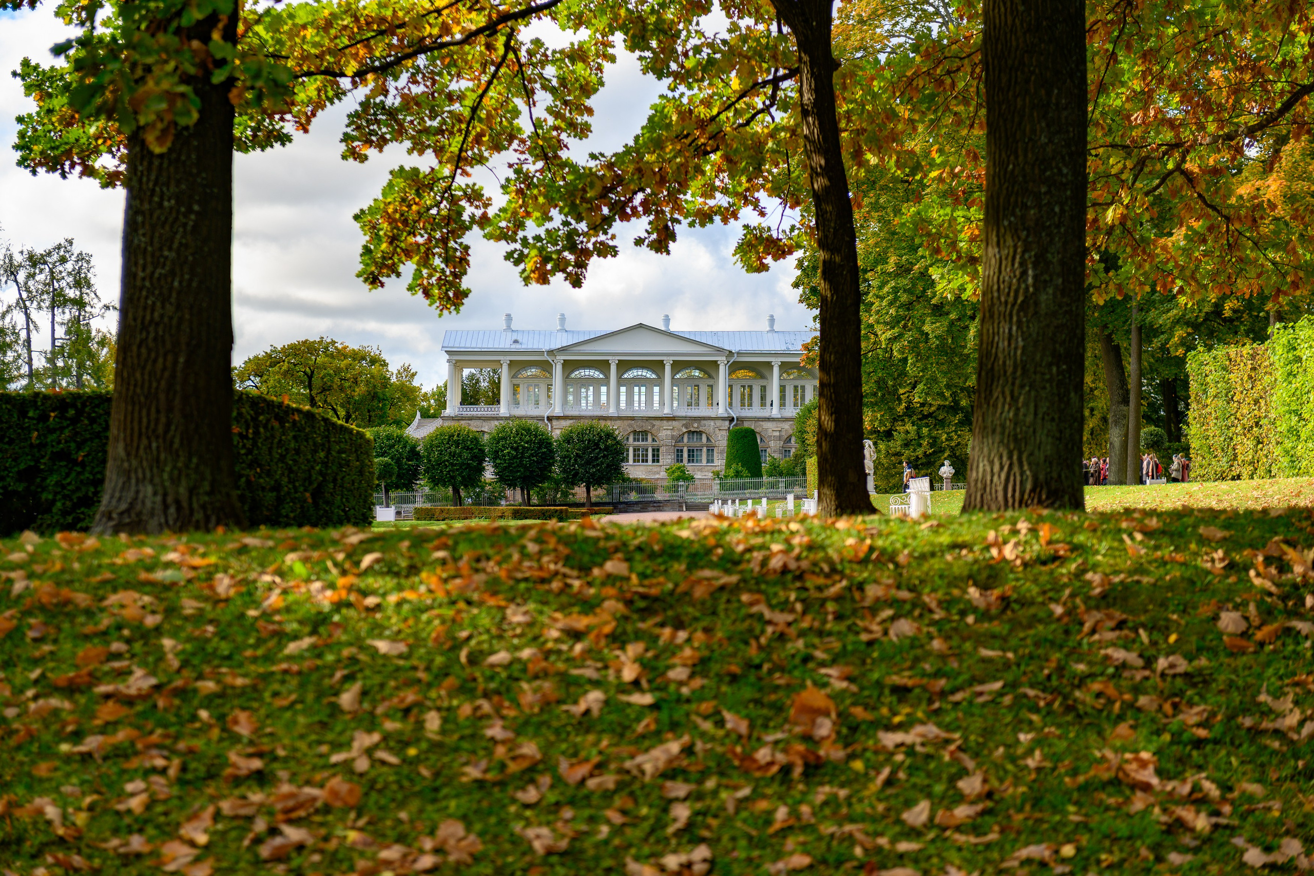 SAINT PETERSBURG | SUBURBS. Personal website of photographer Dmitry Raikin