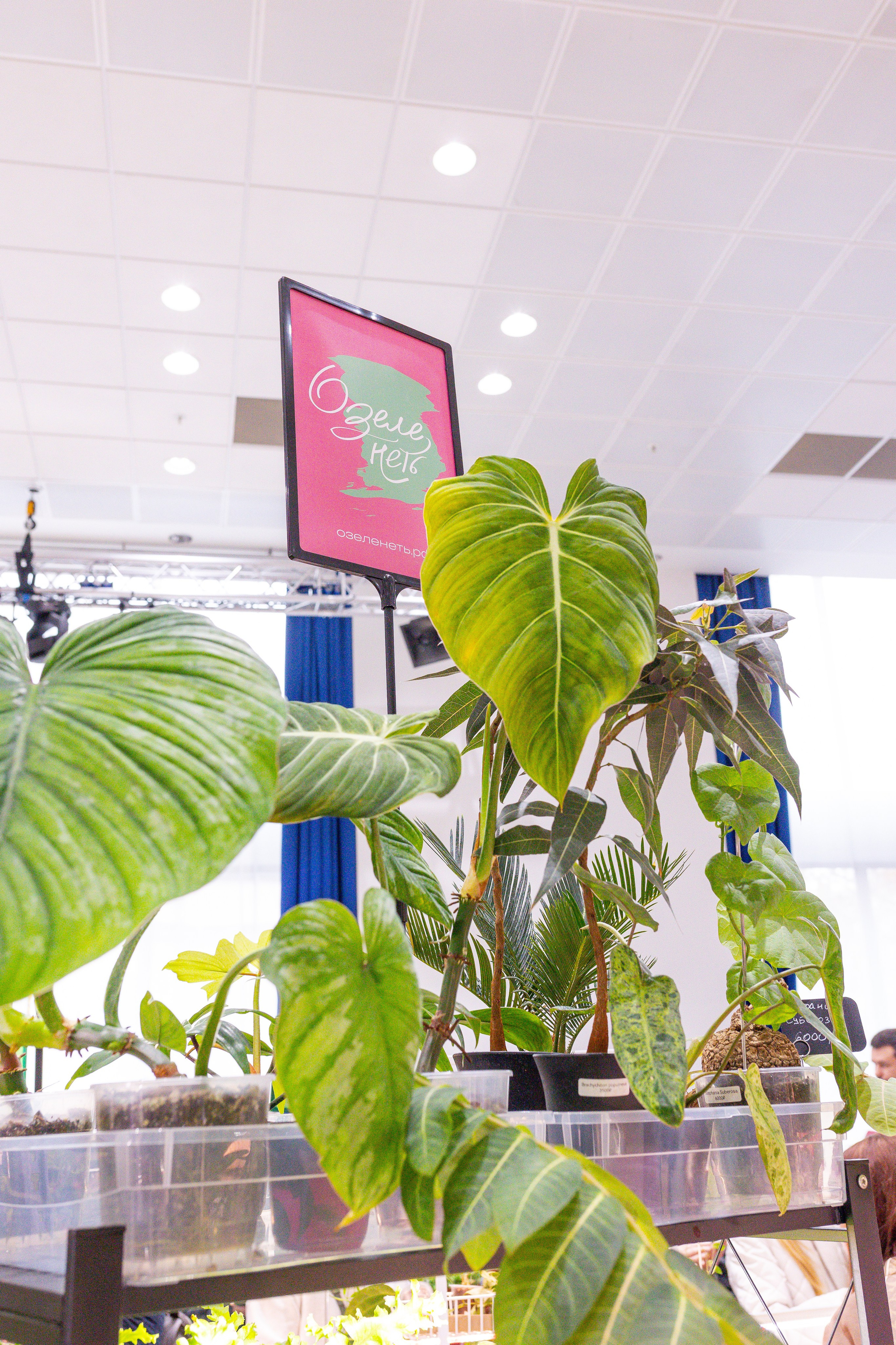 Монстериум 11–12 октября. Александра Куликова фотограф, Москва