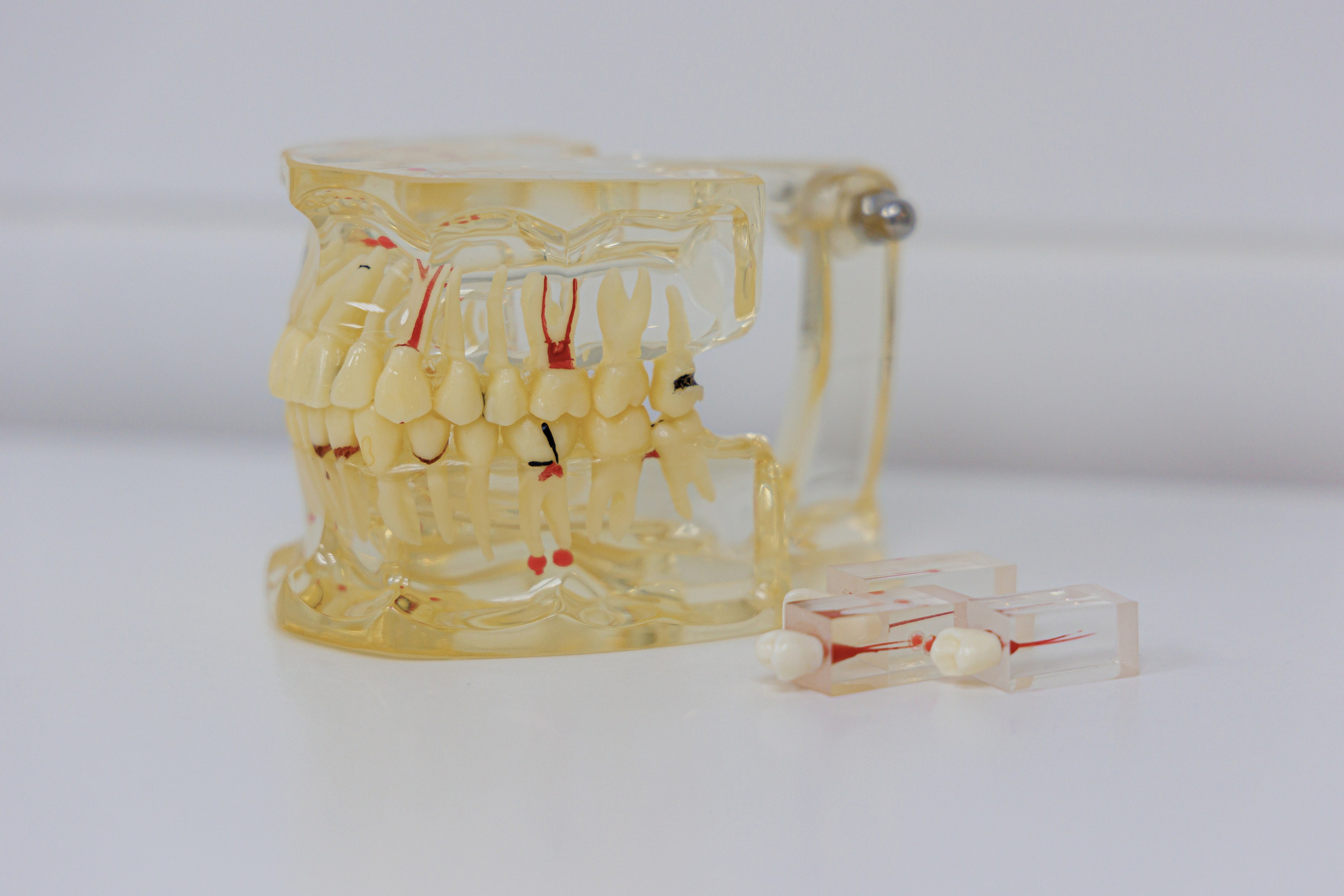 Стоматология