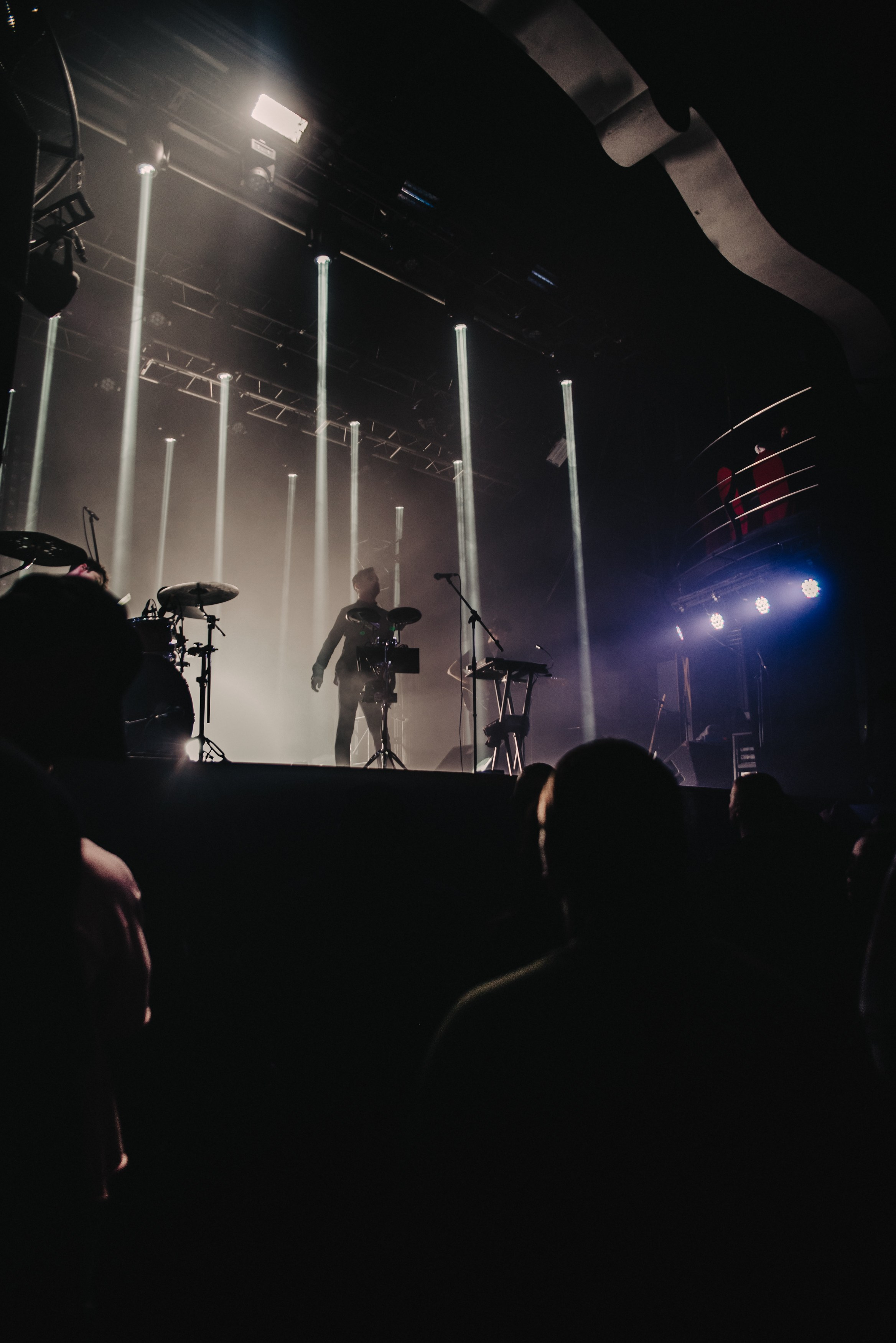 Дельфин | Gaudi. Контент фотограф Илья Урс