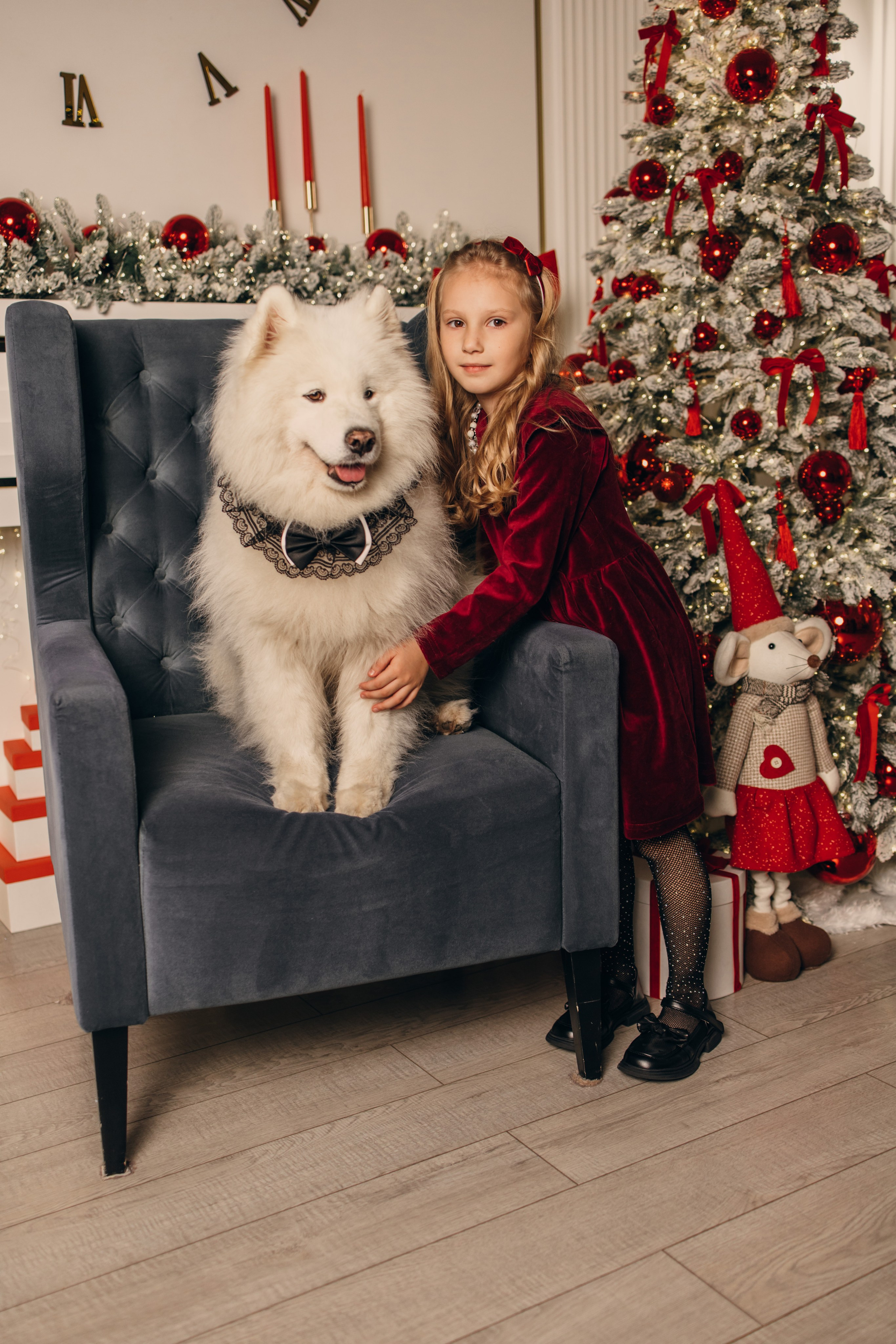 Новогодний самоед. Коновалова Ольга | фотограф в Пензе и Заречном