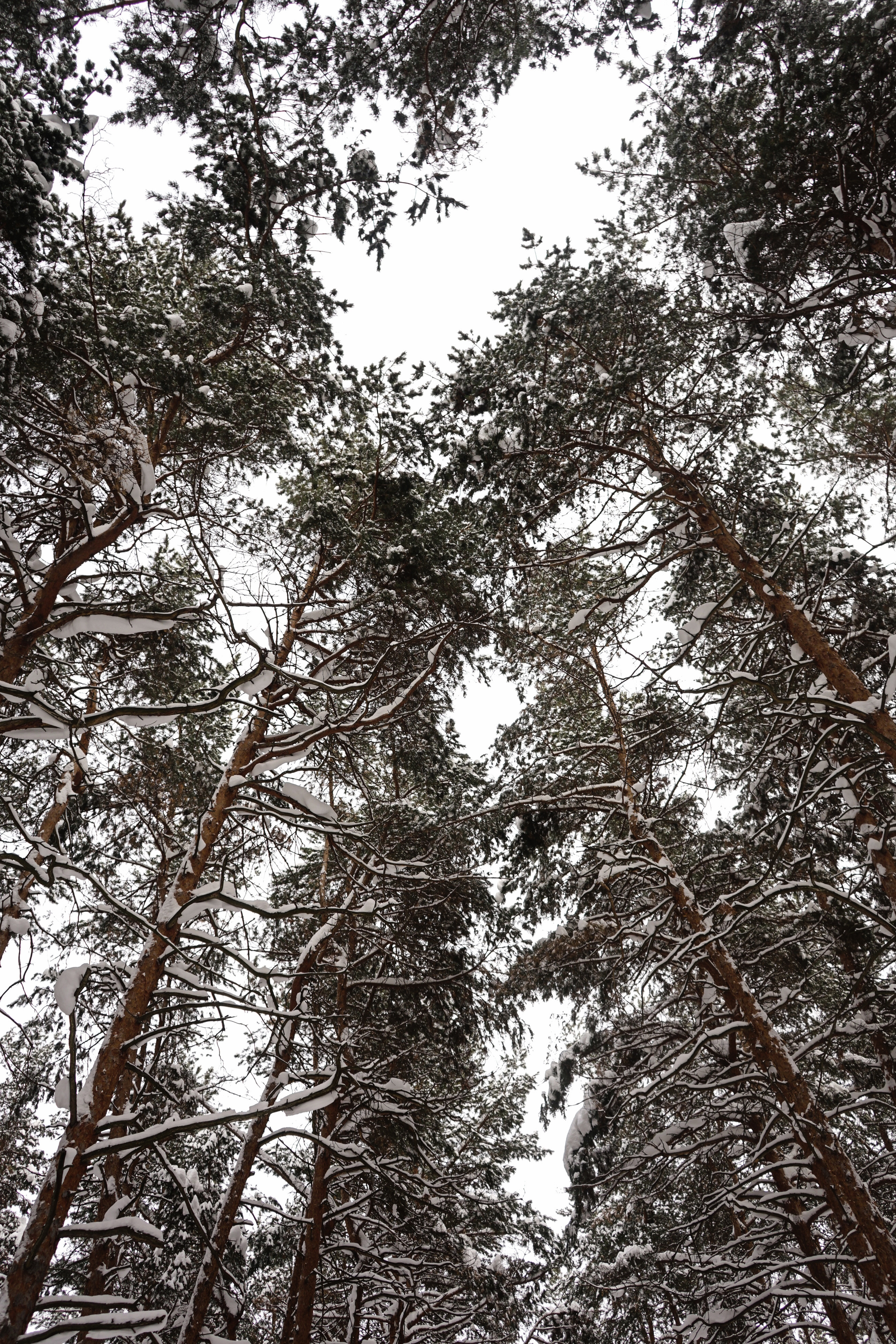 Портфолио. Семейный и детский фотограф в Нижнем Новгороде Мила Балаева