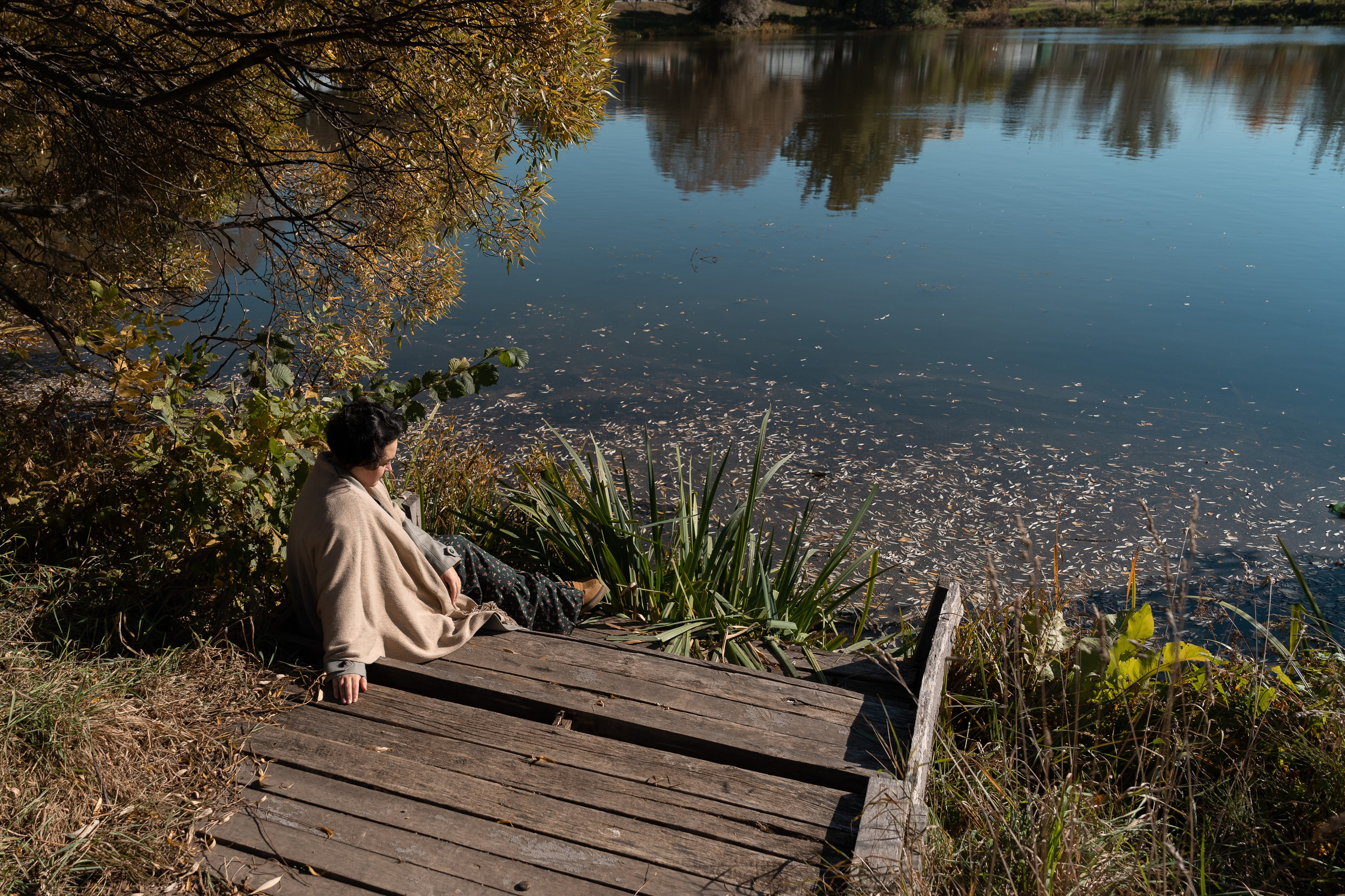 Проект Трилогия. О тебе