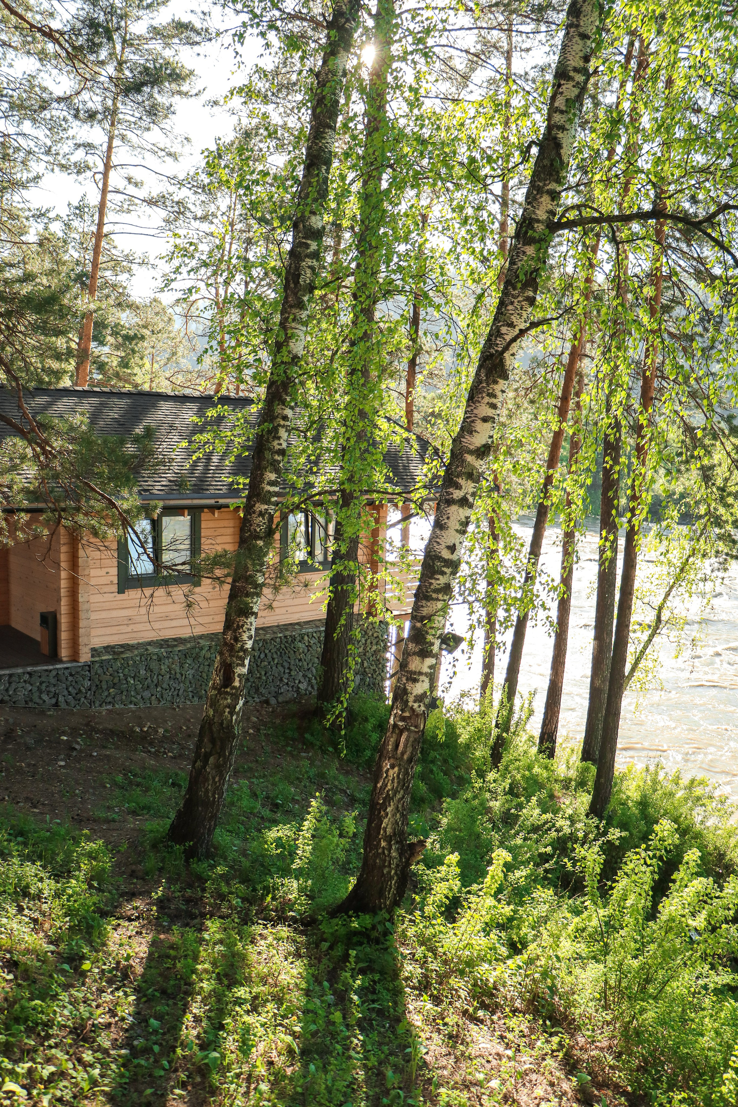 «Ayat River» парк-отель, респ. Алтай. Контент фотограф Дмитрий Борисов