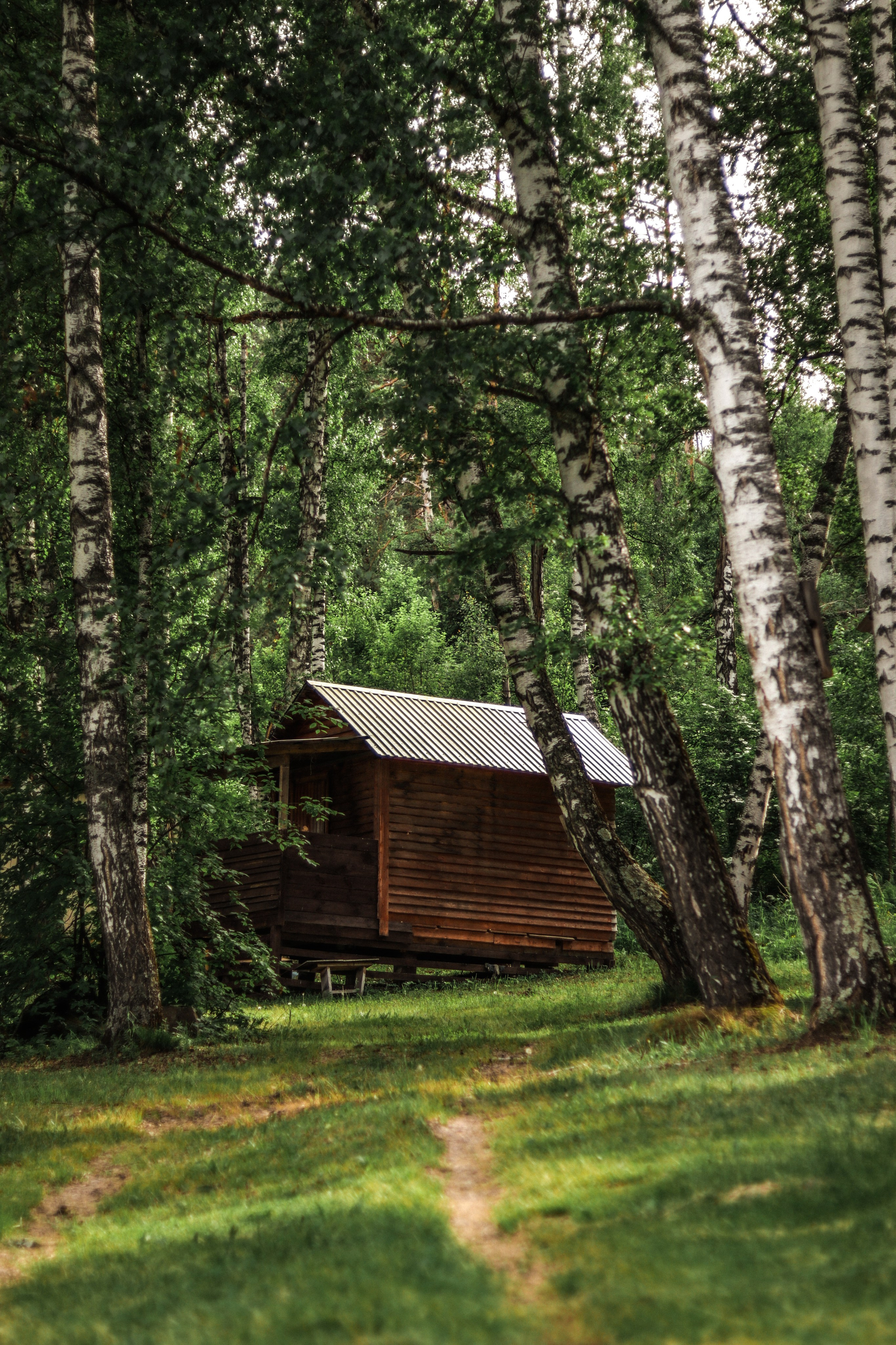 «Красный камень» база отдыха, респ. Алтай. Контент фотограф Дмитрий Борисов