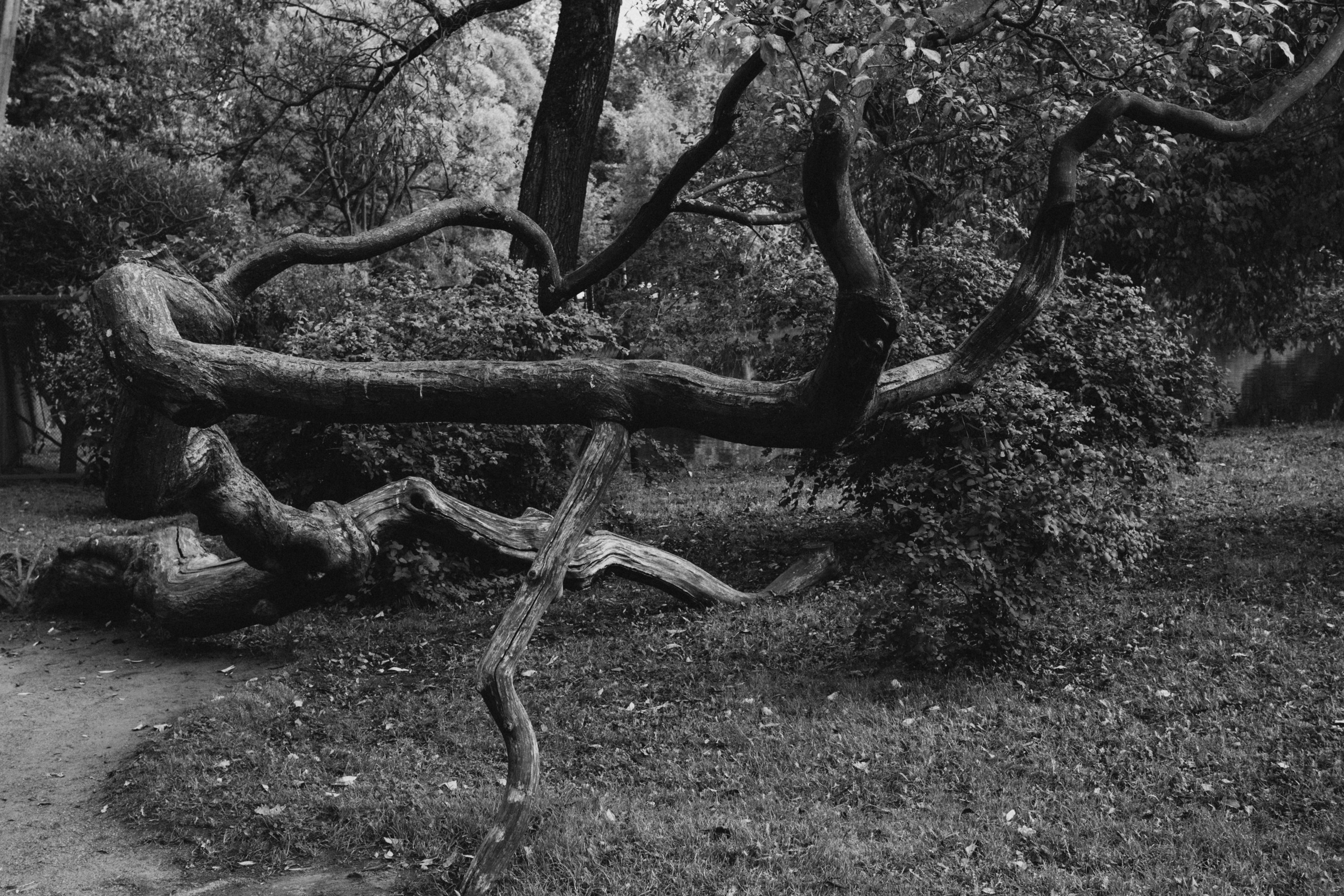 Осень. Портретный фотограф DanilNabody