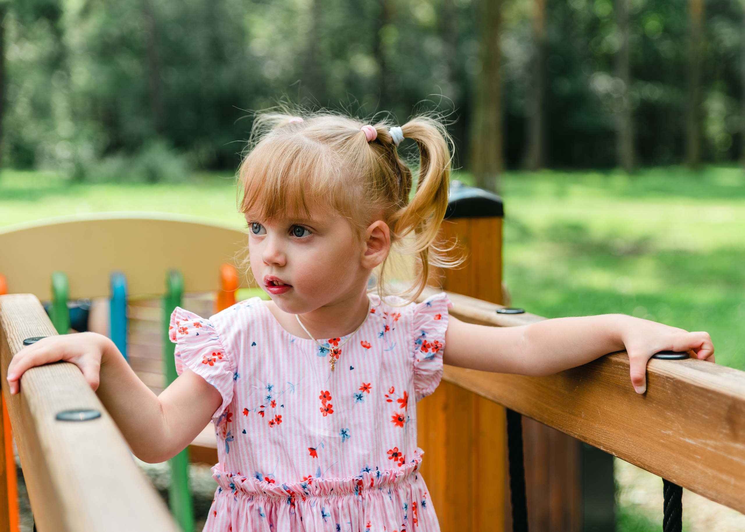 Доброе Сердце АиФ. Предметный и репортажный фотограф в Москве
