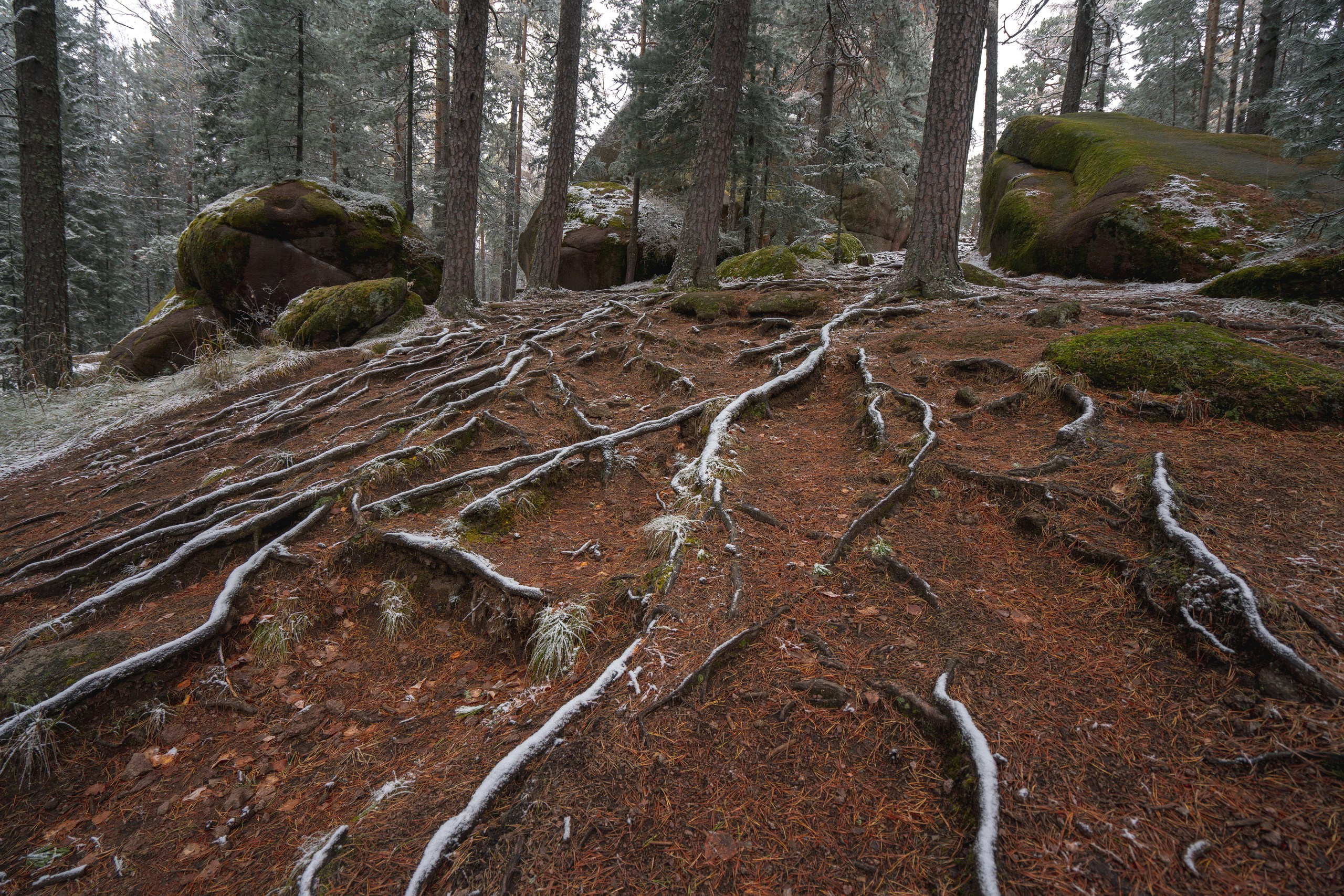 Красноярские Столбы. Фотограф в Красноярске Нерозя Александр. Пейзаж, природа, портрет