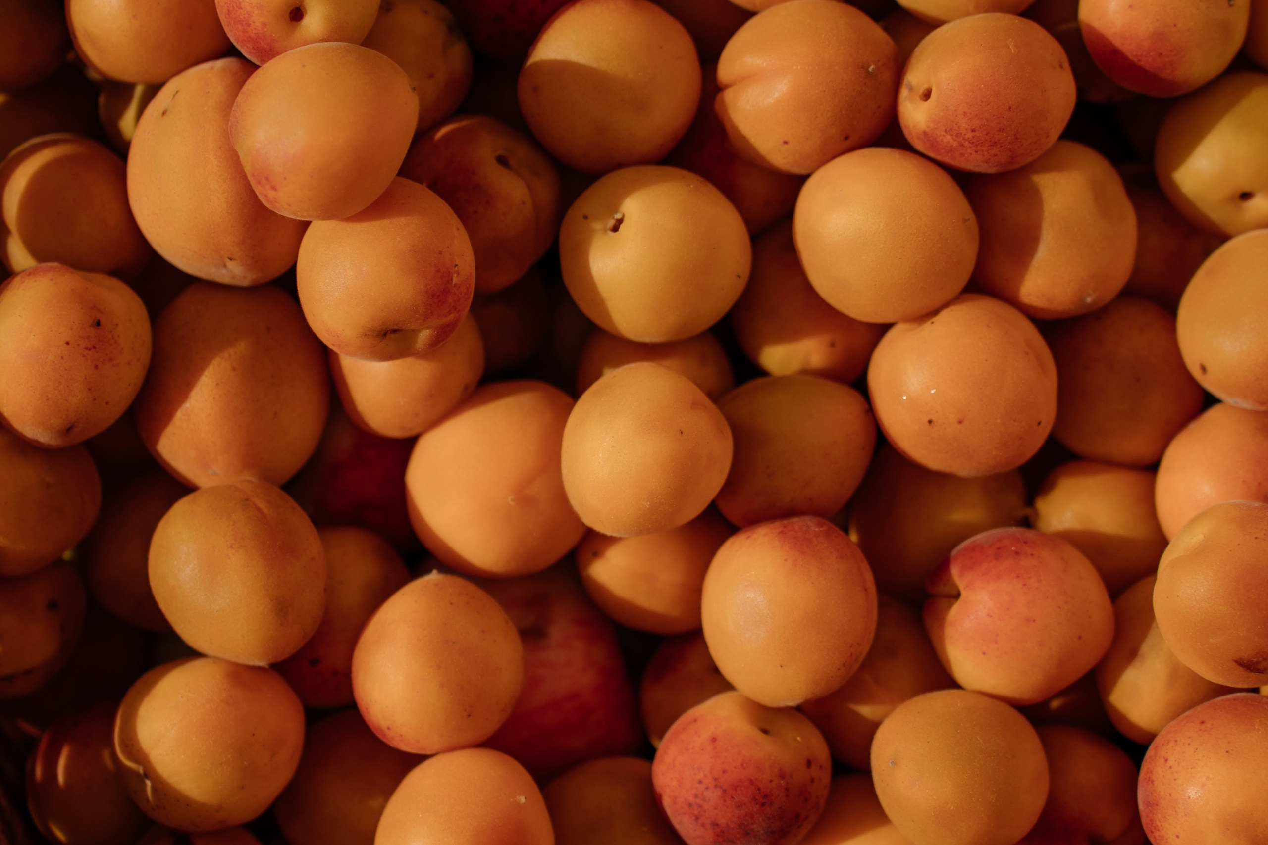 Где бы я не был, где бы ты не была, ты мое небо. Свадебный фотограф Тольятти Москва Адамова Виктория