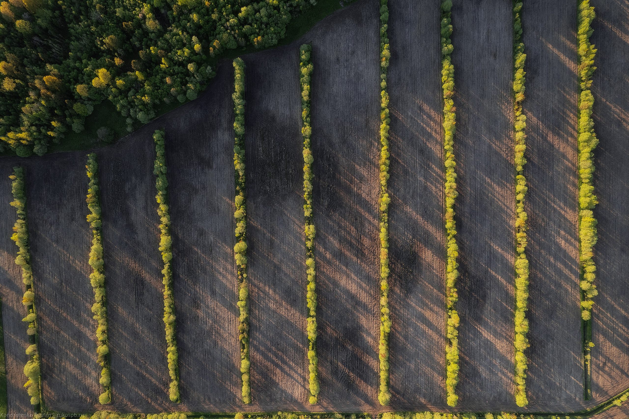 Ленинградская область. Архитектурный и пейзажный фотограф Кондратенко Руслан, Санкт-Петербург