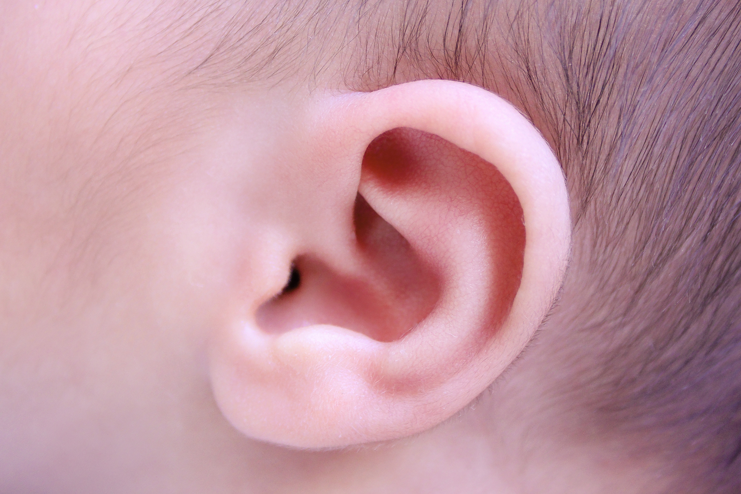 Макроснимки. Фотограф новорождённых г. Салехард