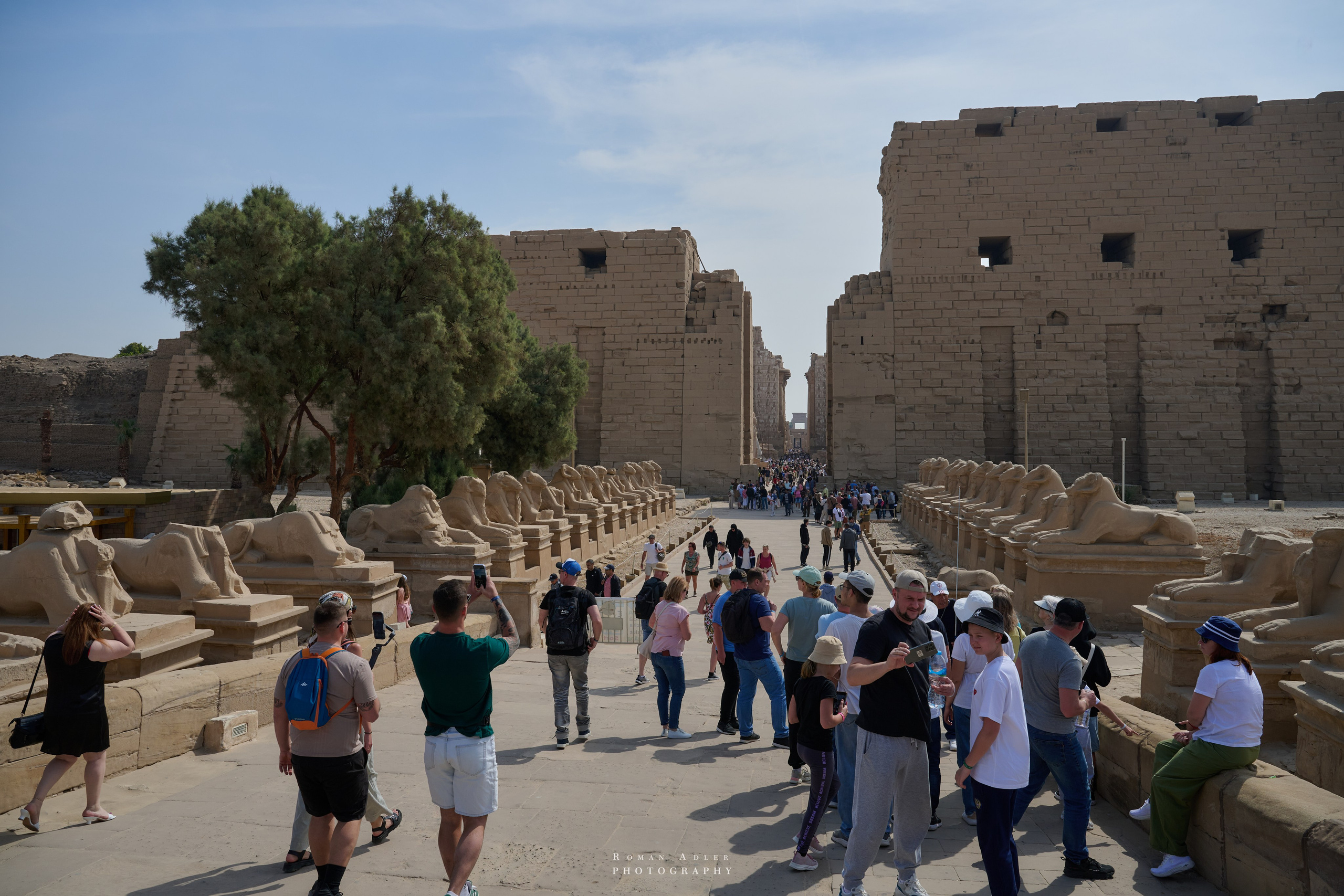 Луксор. Февраль 2025. Фотограф Роман Адлер