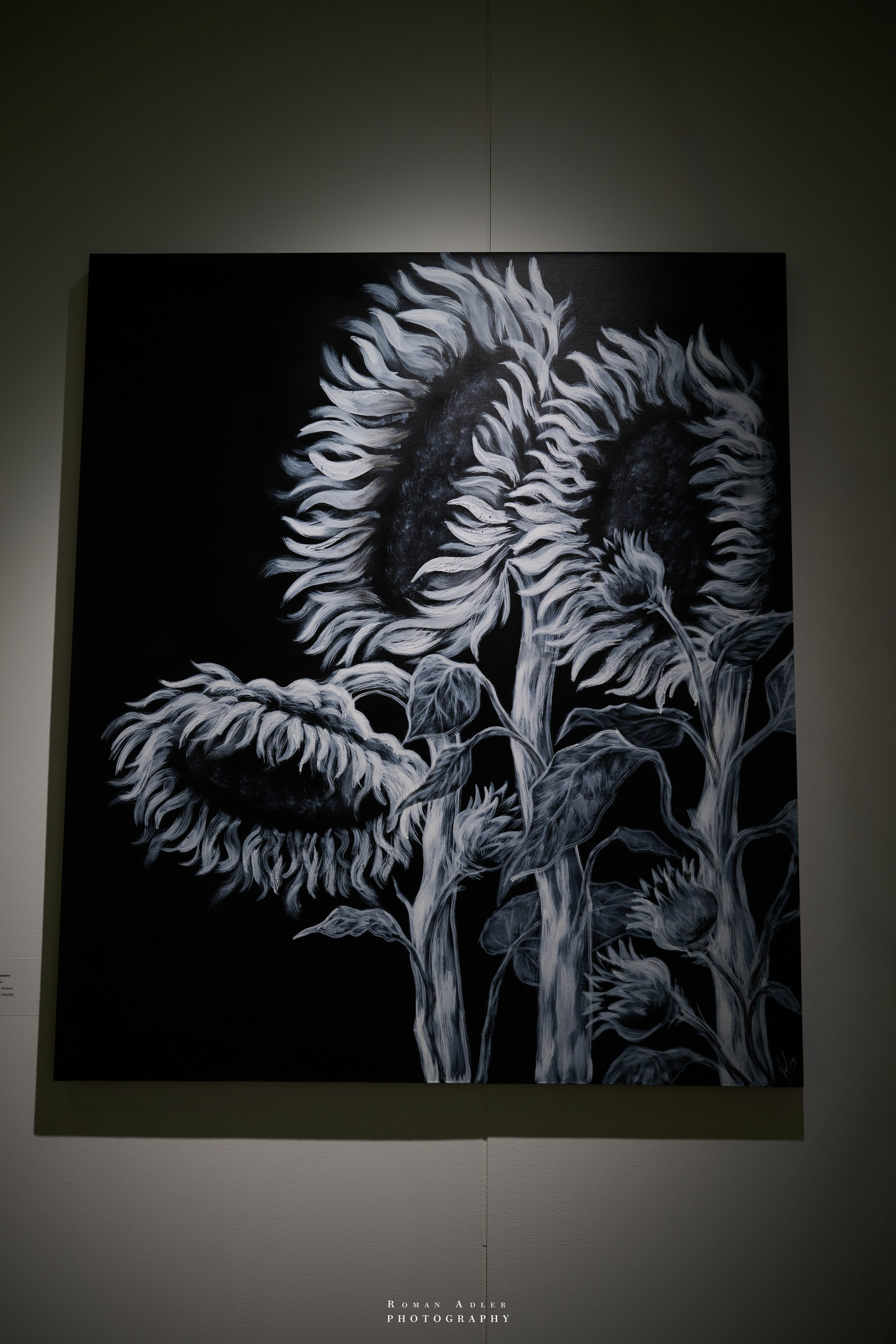 АРТ Россия 2026. Фотограф Роман Адлер