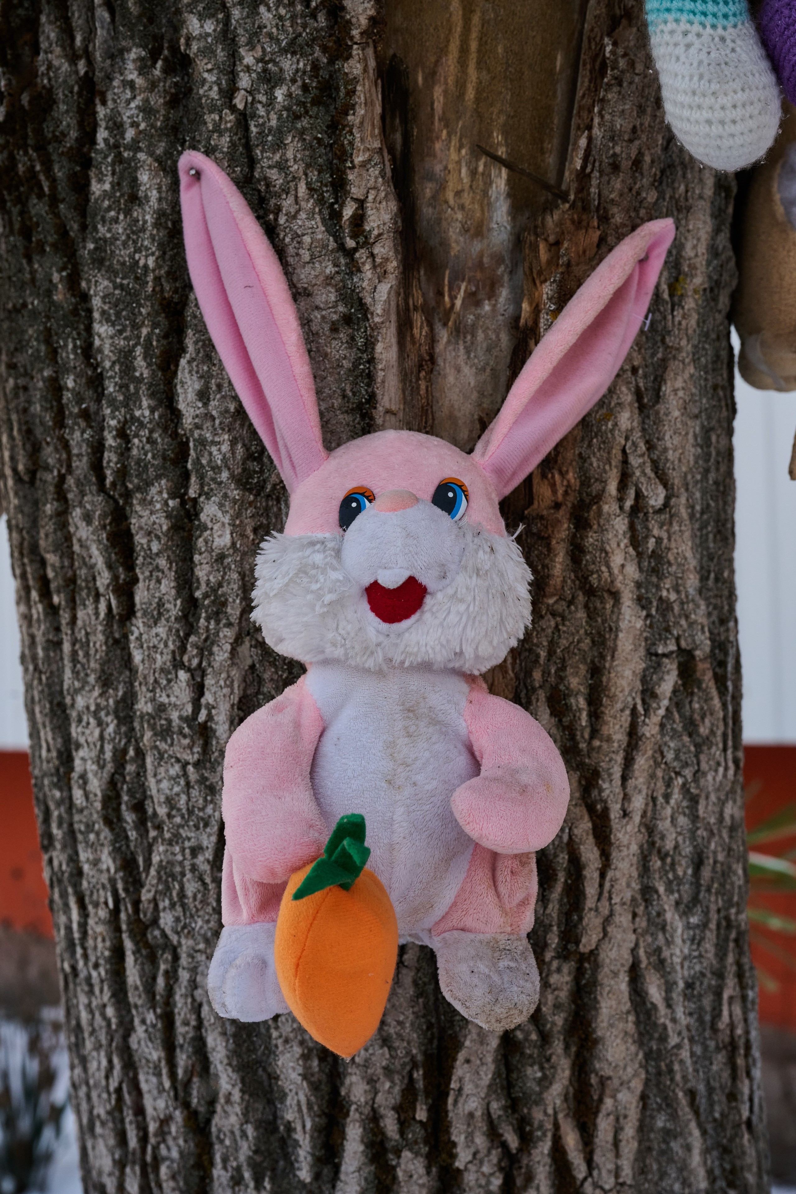 Рубежное. Январь 2026. Фотограф Роман Адлер