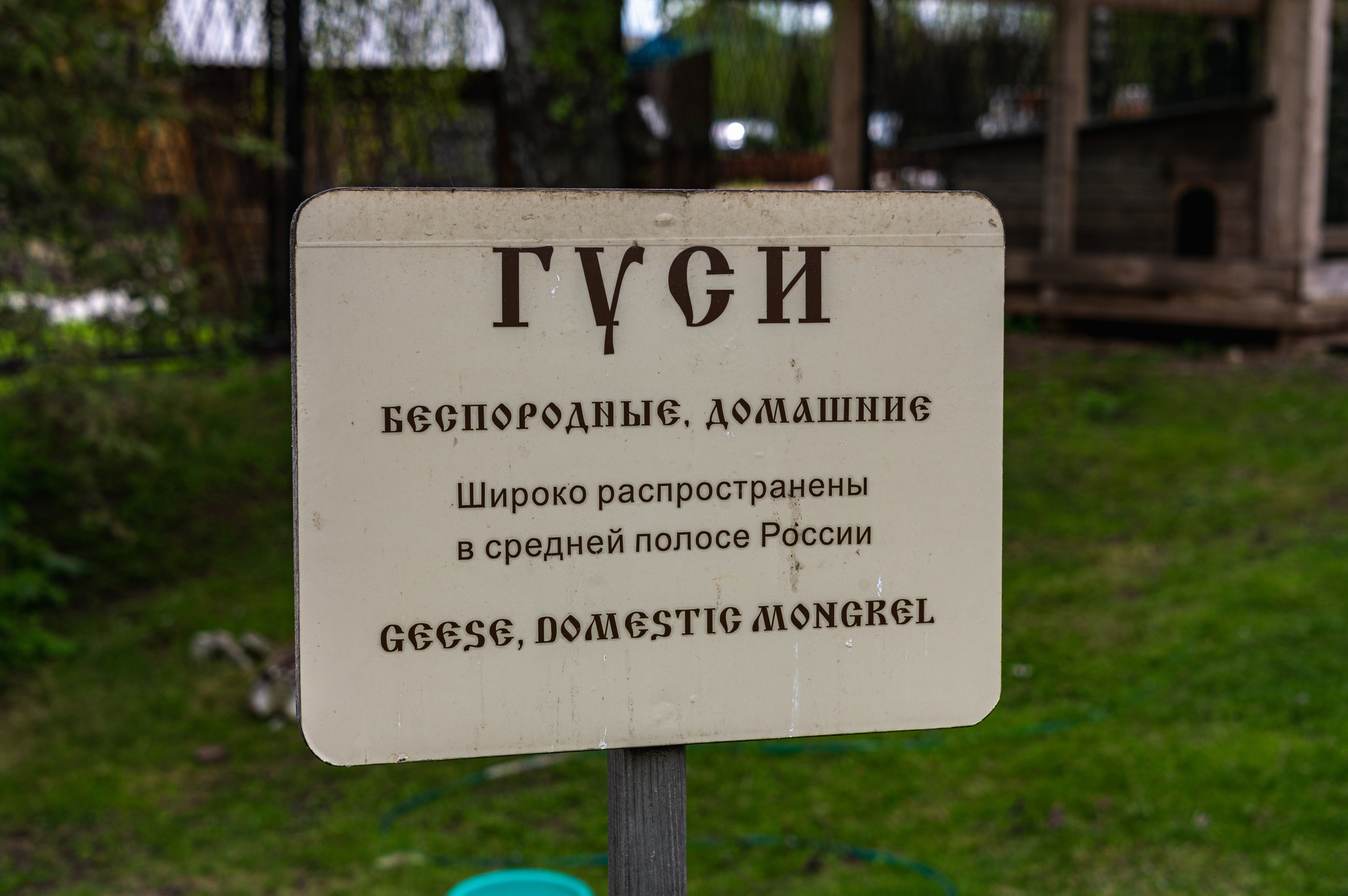 Суздаль. Май 2023. Фотограф Роман Адлер