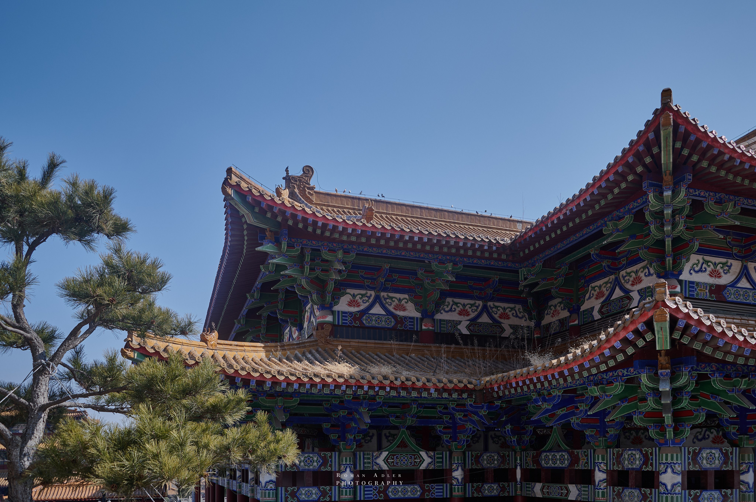 Храм Гуанфу (Процветания). Цинчжоу. Фотограф Роман Адлер