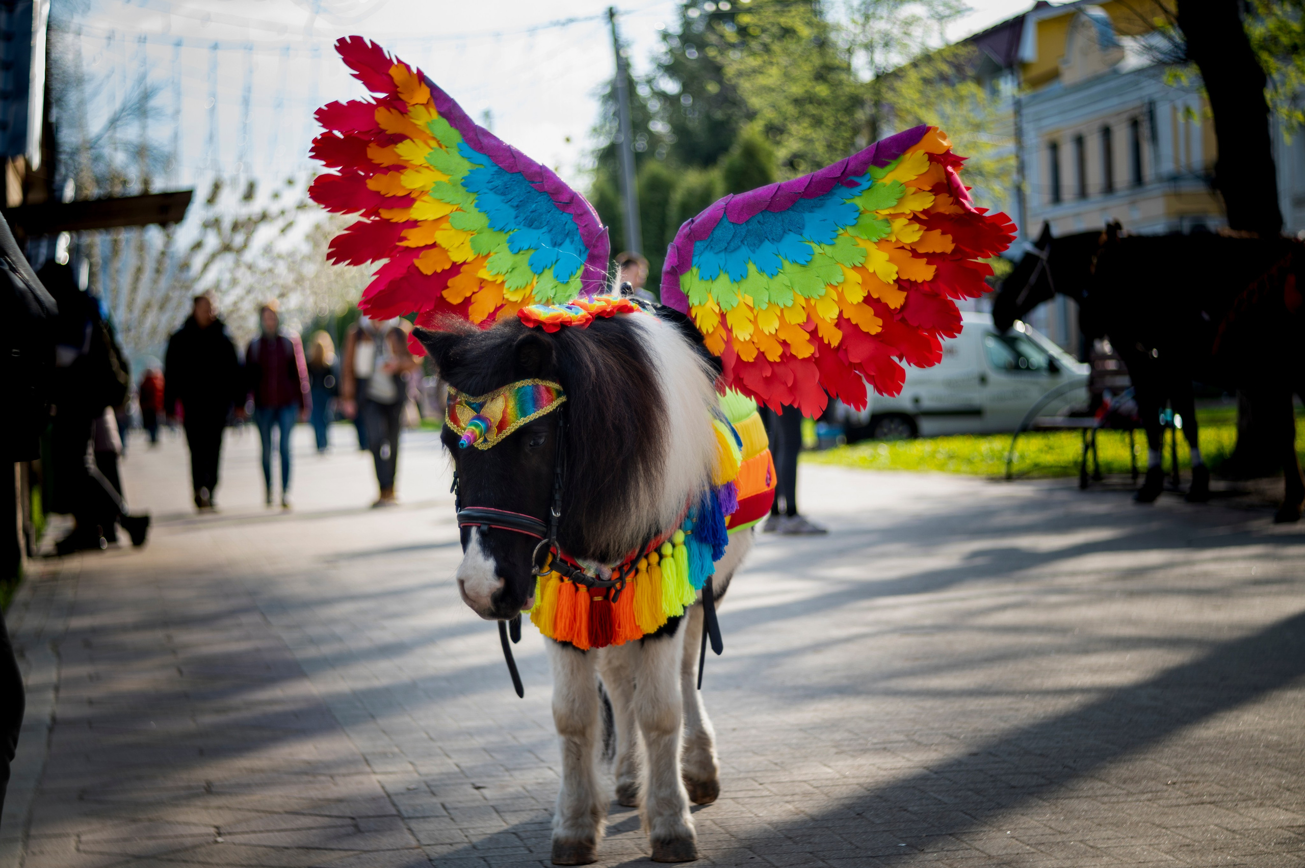Рязань. Май 2022. Фотограф Роман Адлер