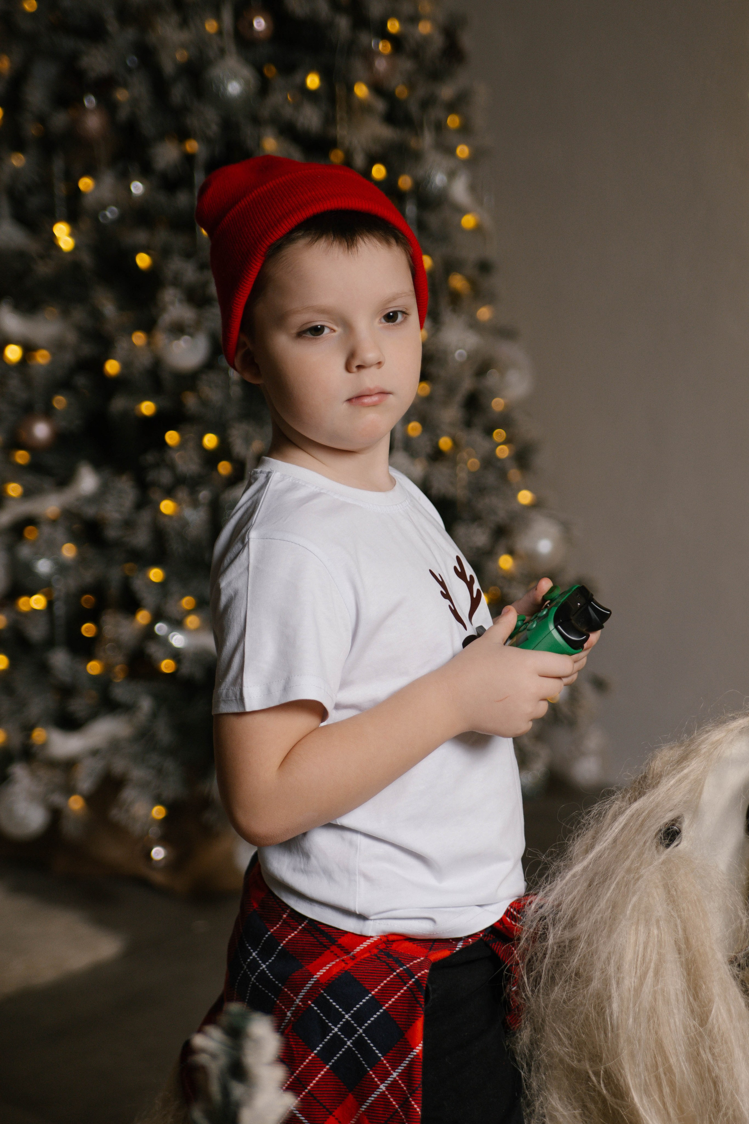 Новый год. Фотограф в городе Лыткарино Волкова Ольга