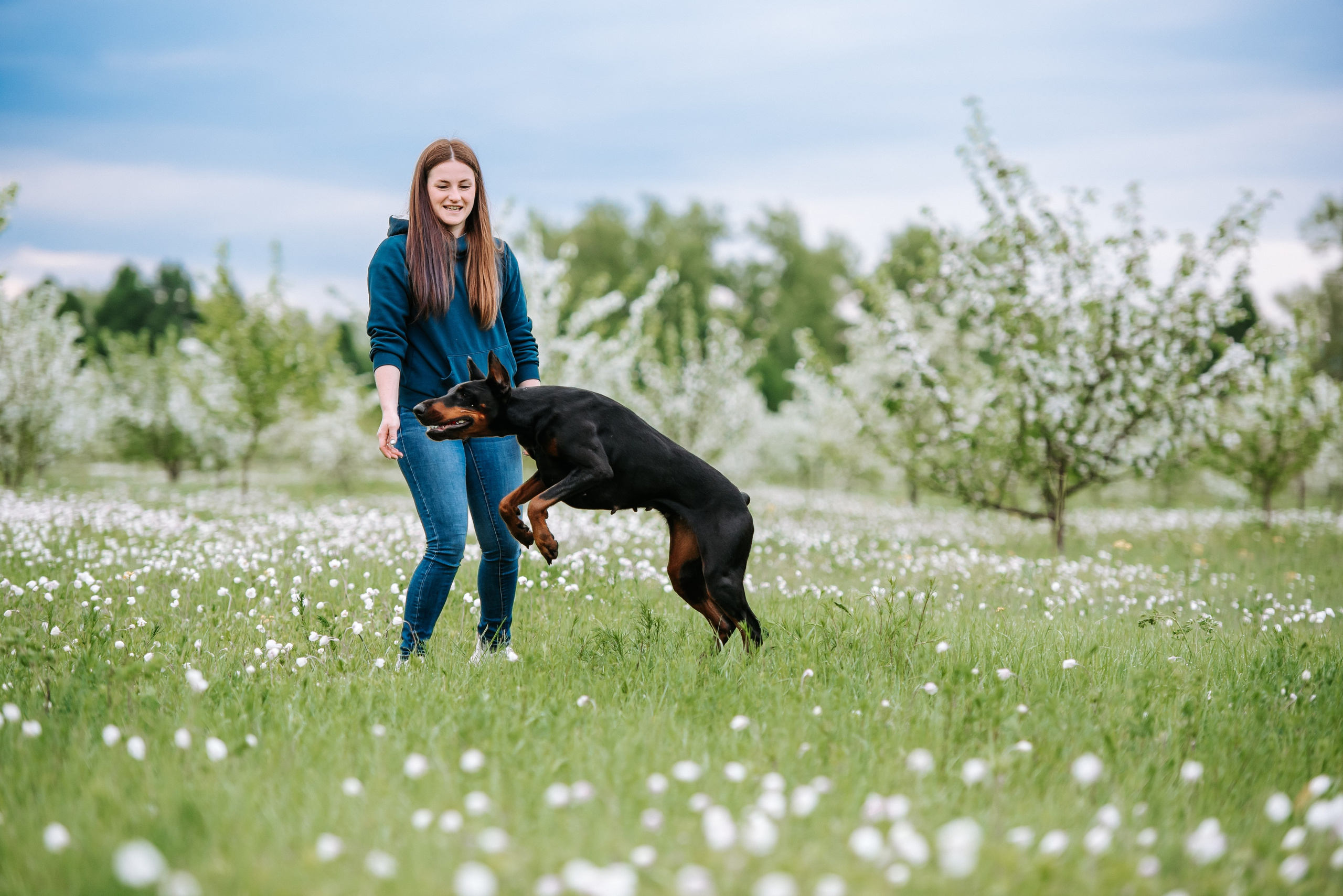 Цветение с доберманами. Фотограф Диана Оленина Красноярск / Братск
