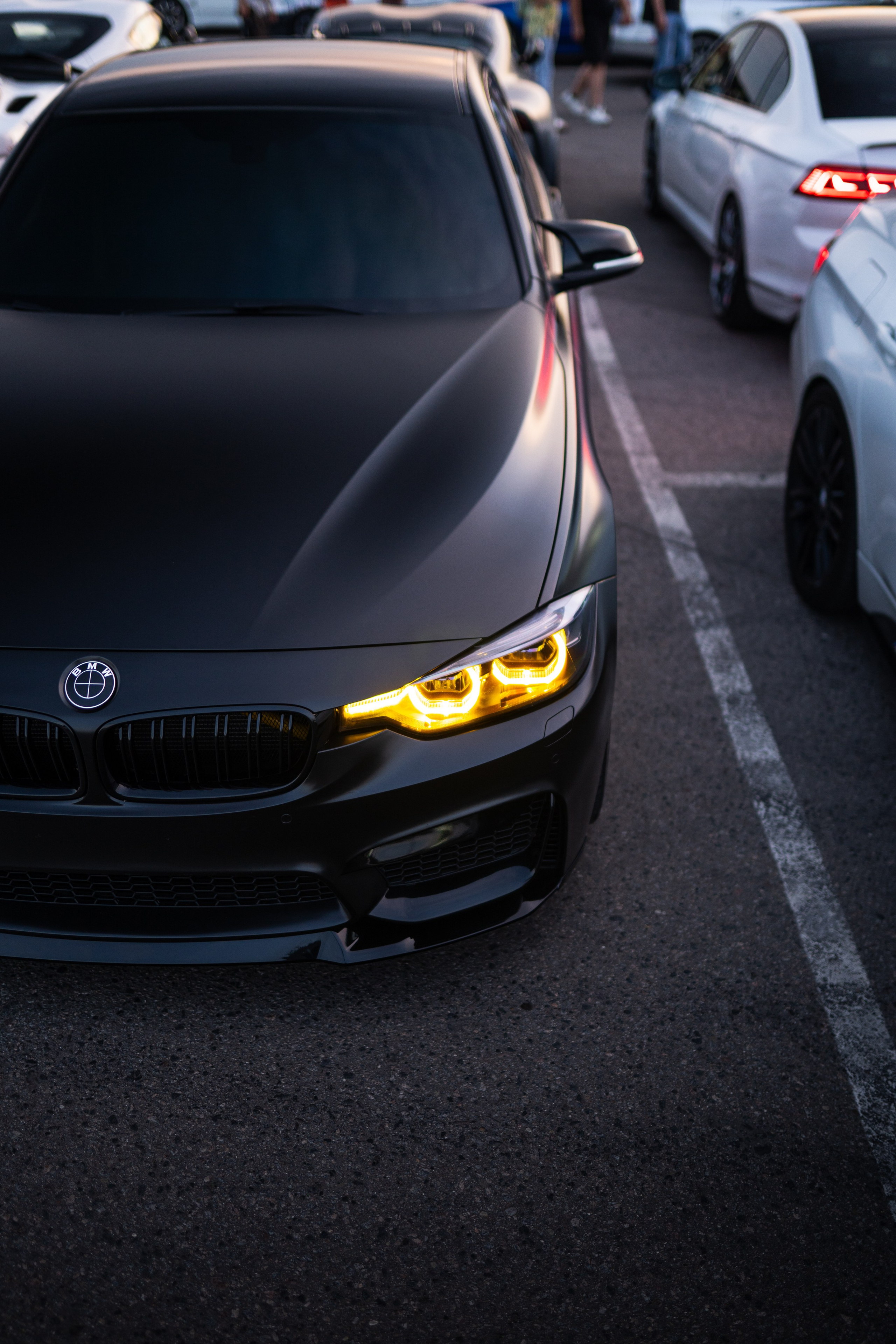 DOWNFLY | 13.07.2024. Mirllaev