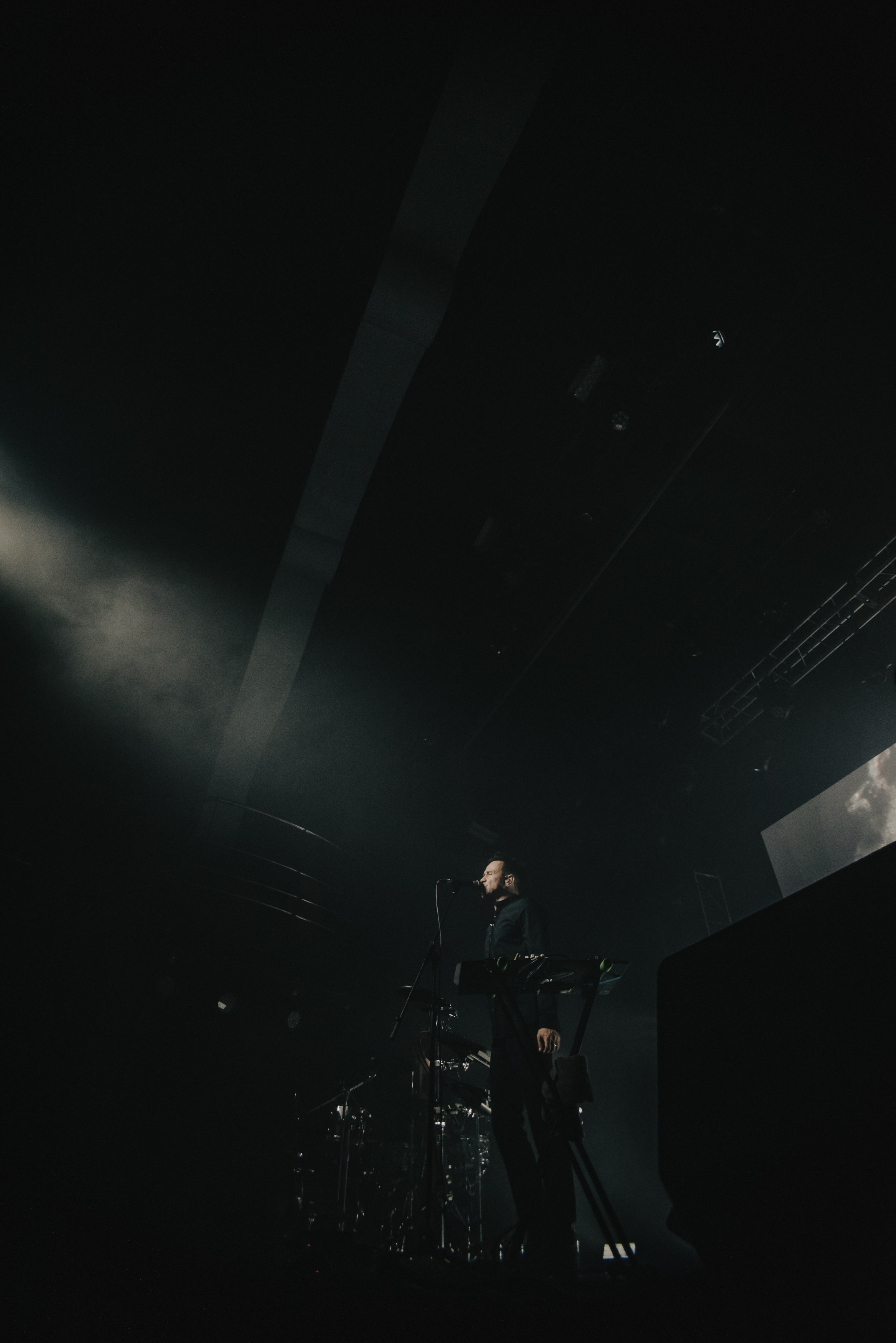 Дельфин | Gaudi. Контент фотограф Илья Урс