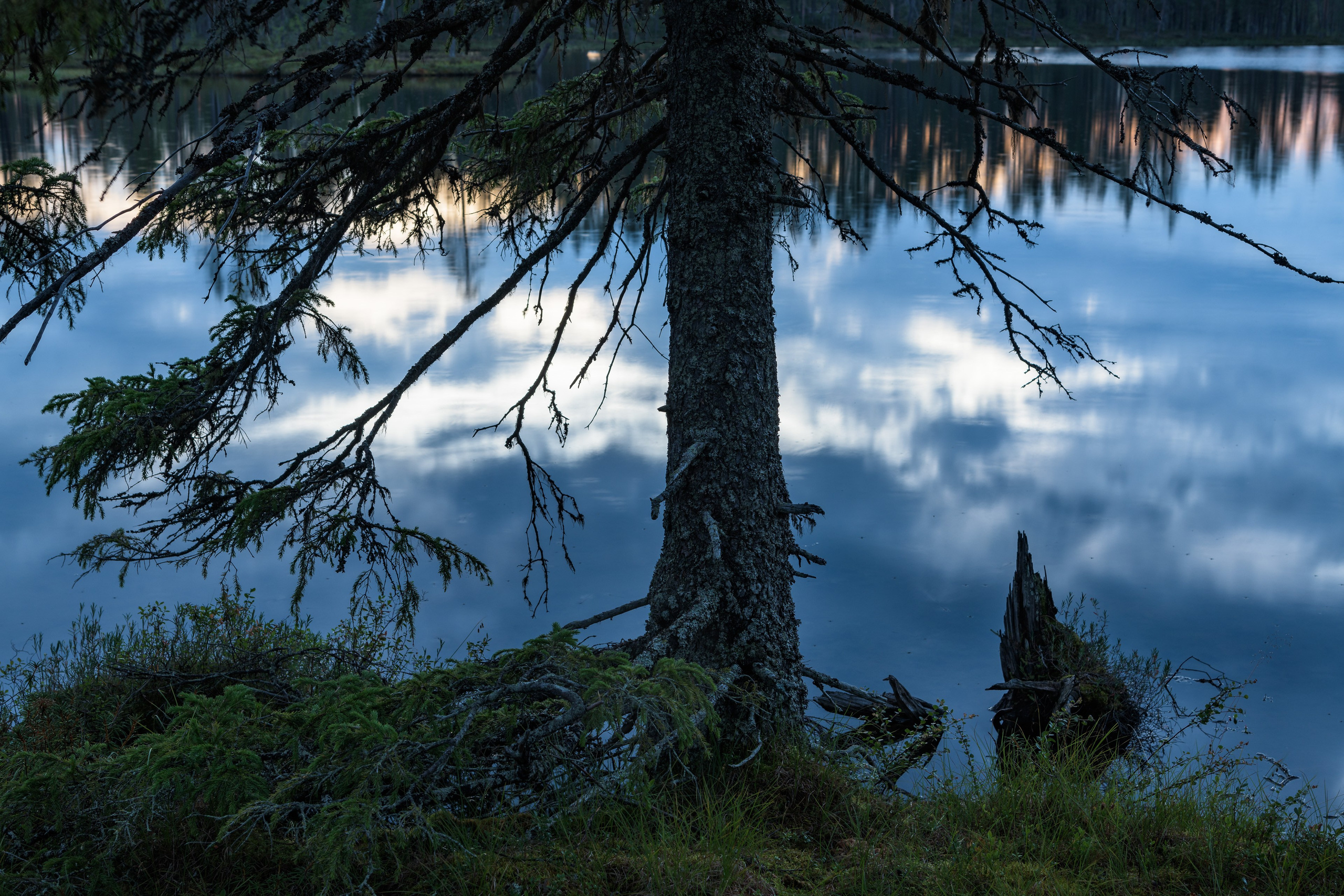 Лето. Северные Ночи
