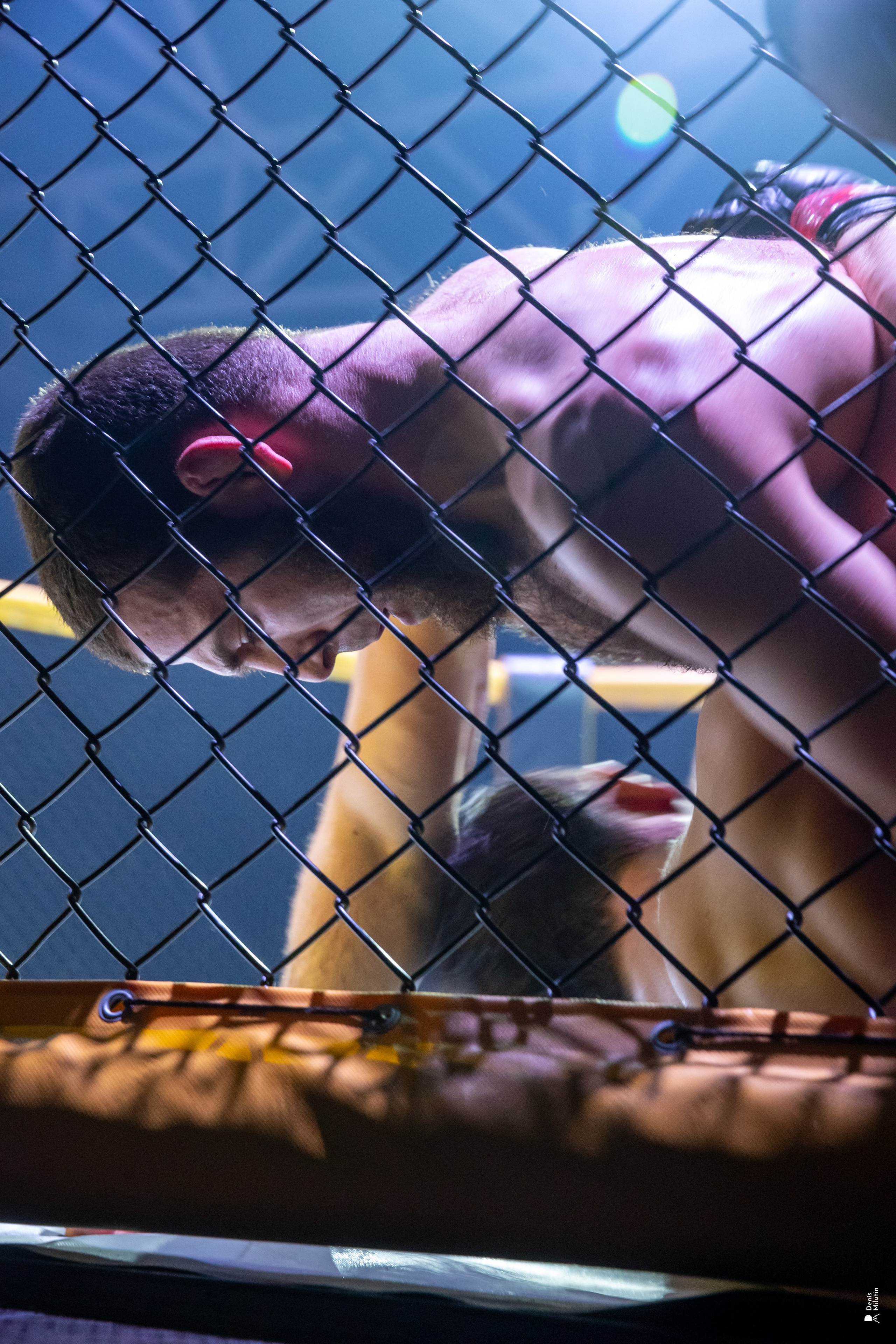 Бои в клетке «Северный Воин». Портретный фотограф Денис Милютин