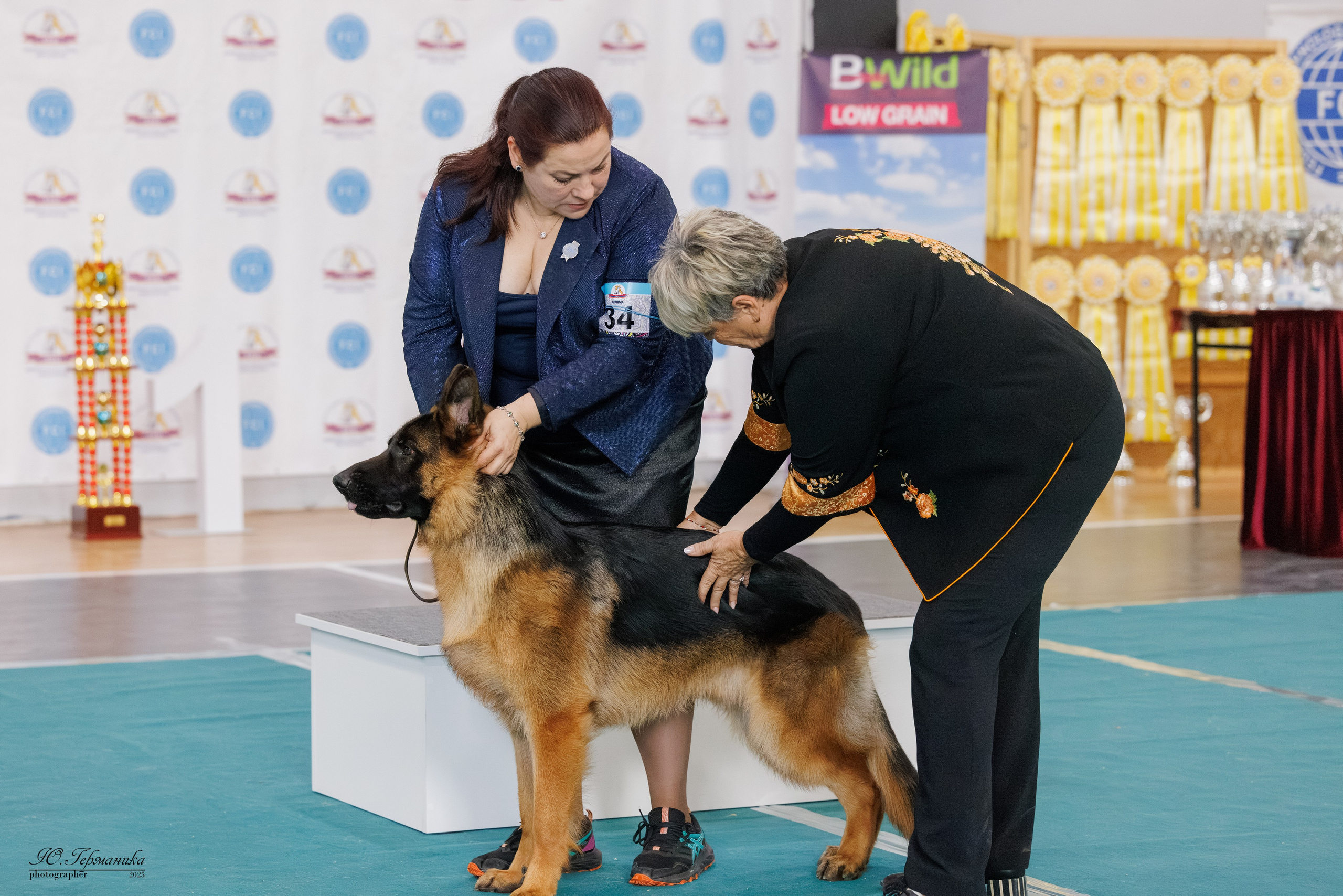 Ереван 2х CACIB 29-30.04.2025. Фотограф-анималист Юлия Германика
