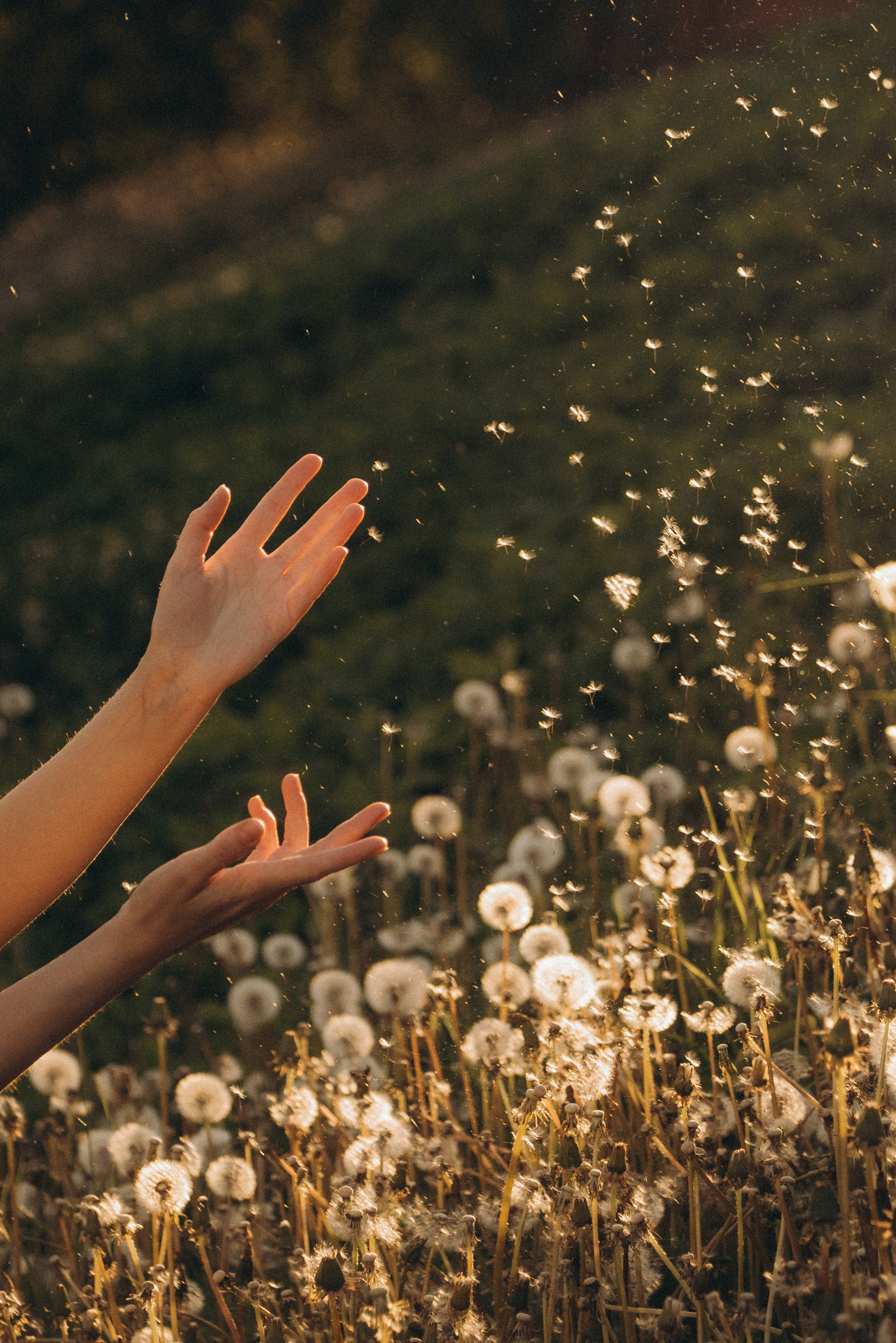 Аня. Суханова Регина Фотограф Сергиев Посад