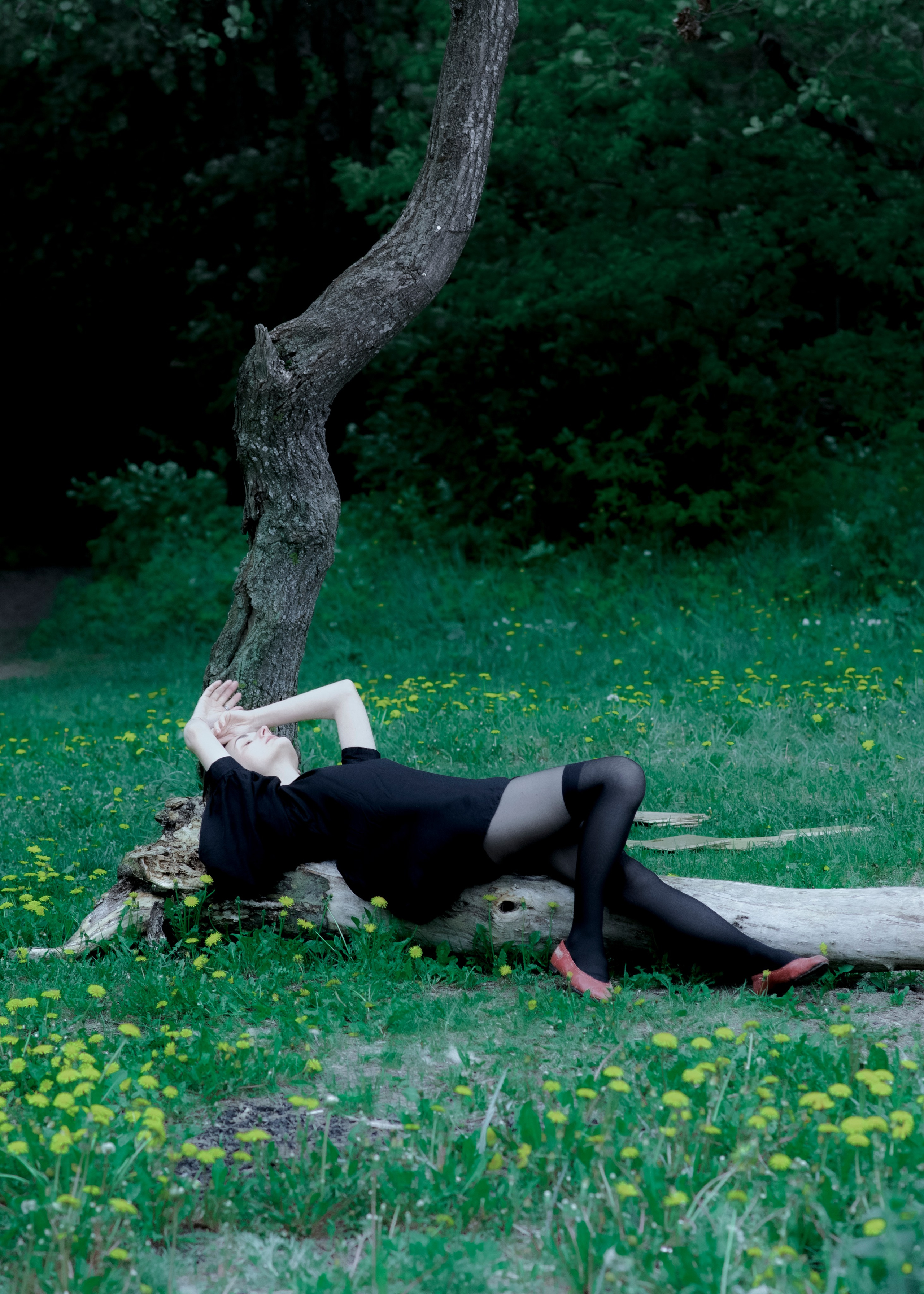 Холод | Анастасия