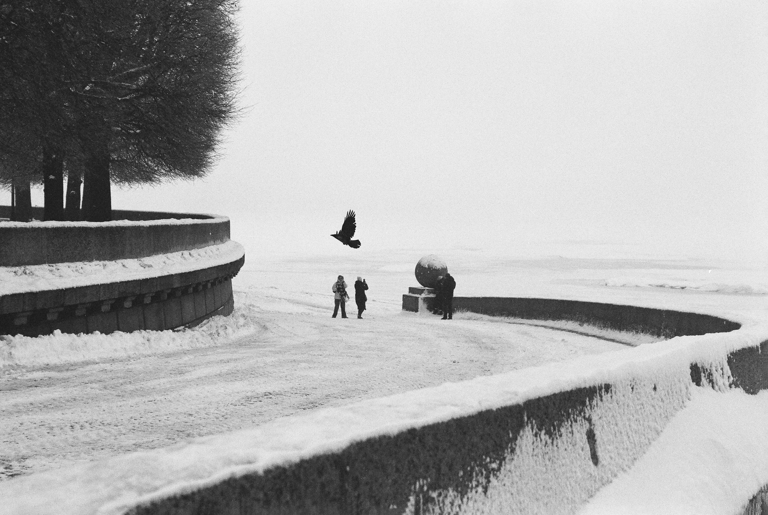 Фотографии черно-белые. Свадебный и семейный пленочный фотограф в Петербурге Истомина Ирина