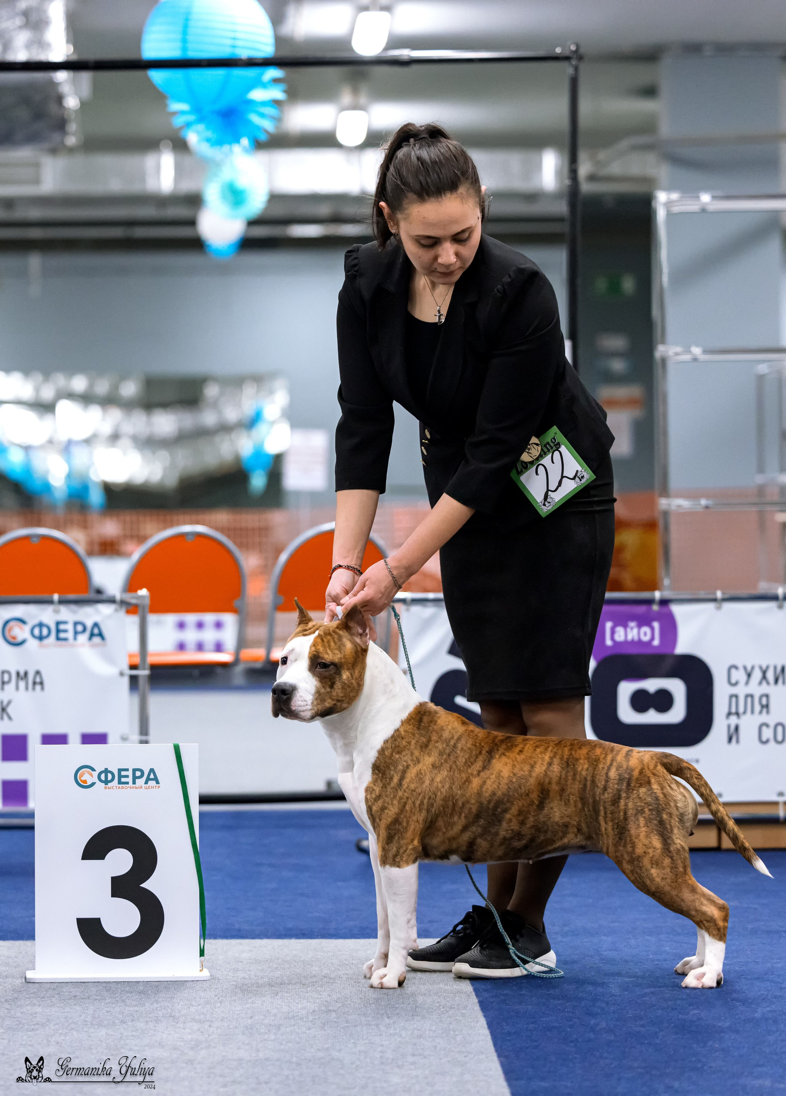 Сфера 28.01. и 4.02.2024. Фотограф-анималист Юлия Германика