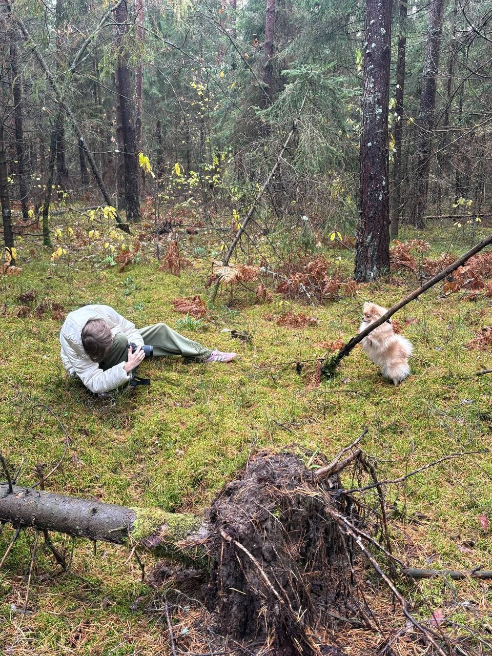 Контакты. Фотограф — анималист RISHELL PHOTO