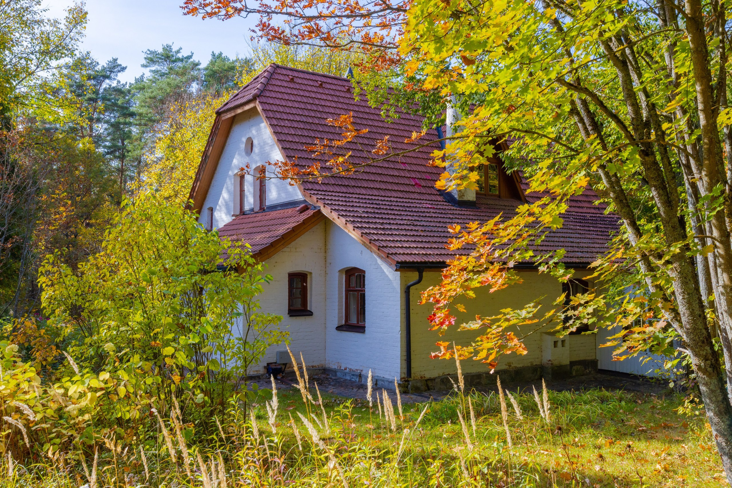 Музейный комплекс Поленово золотой осенью. Фотограф в Туле Крупский АнДРей. Фотостудия «КАДР71» в Туле