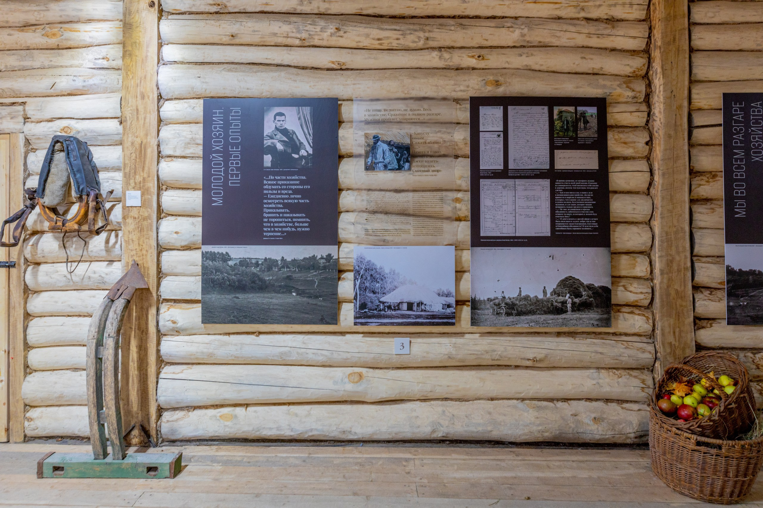 Золотая осень в Ясной Поляне. Фотограф в Туле Крупский АнДРей. Фотостудия «КАДР71» в Туле