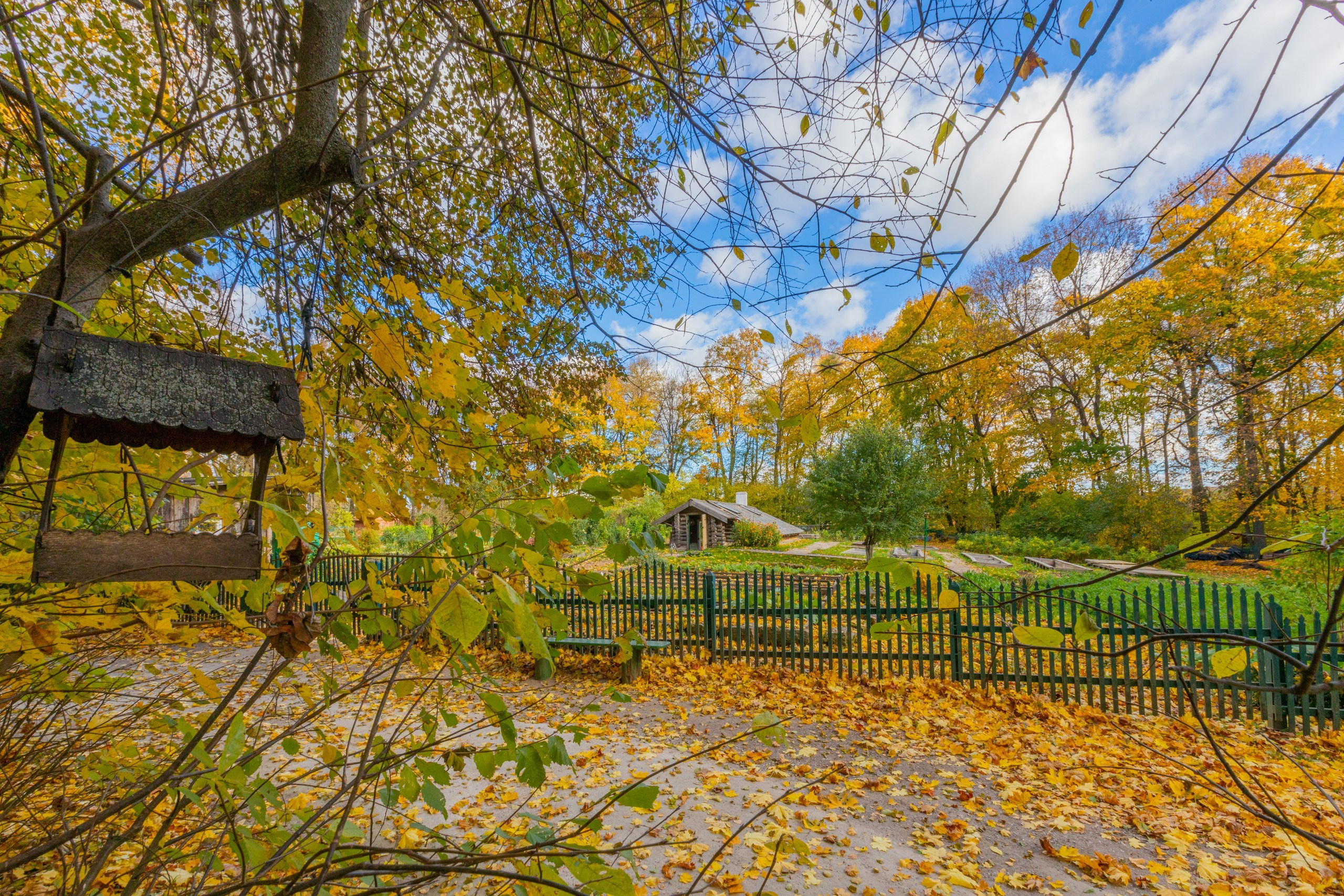 Золотая осень в Ясной Поляне. Фотограф в Туле Крупский АнДРей. Фотостудия «КАДР71» в Туле