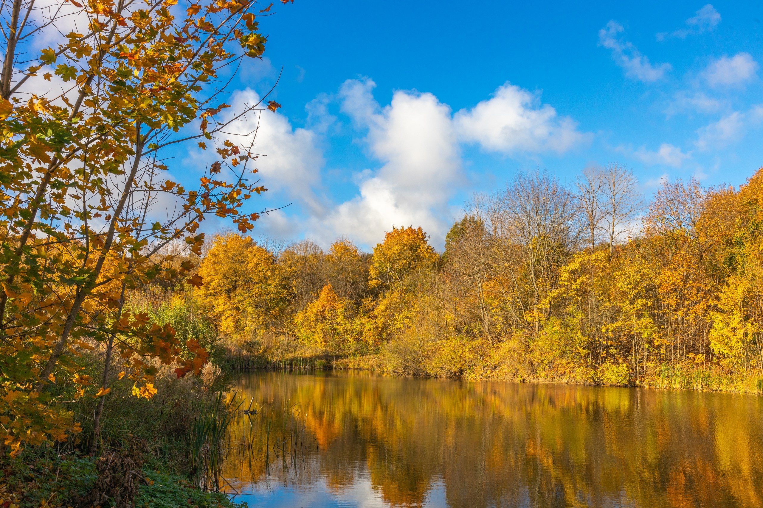 Золотая осень в Ясной Поляне. Фотограф в Туле Крупский АнДРей. Фотостудия «КАДР71» в Туле