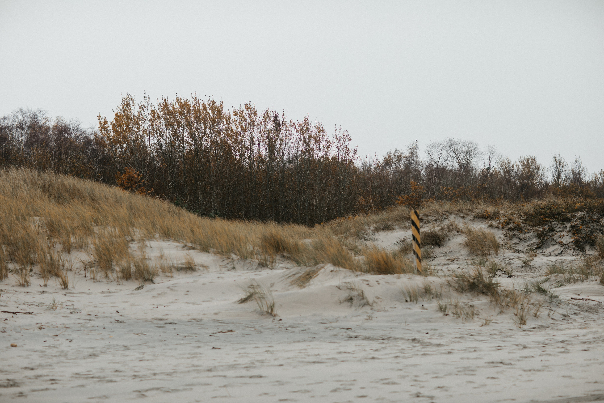 Фотосессия в Балтийске. Свадебный и семейный фотограф/видеограф в Краснодаре Наталья Осинская