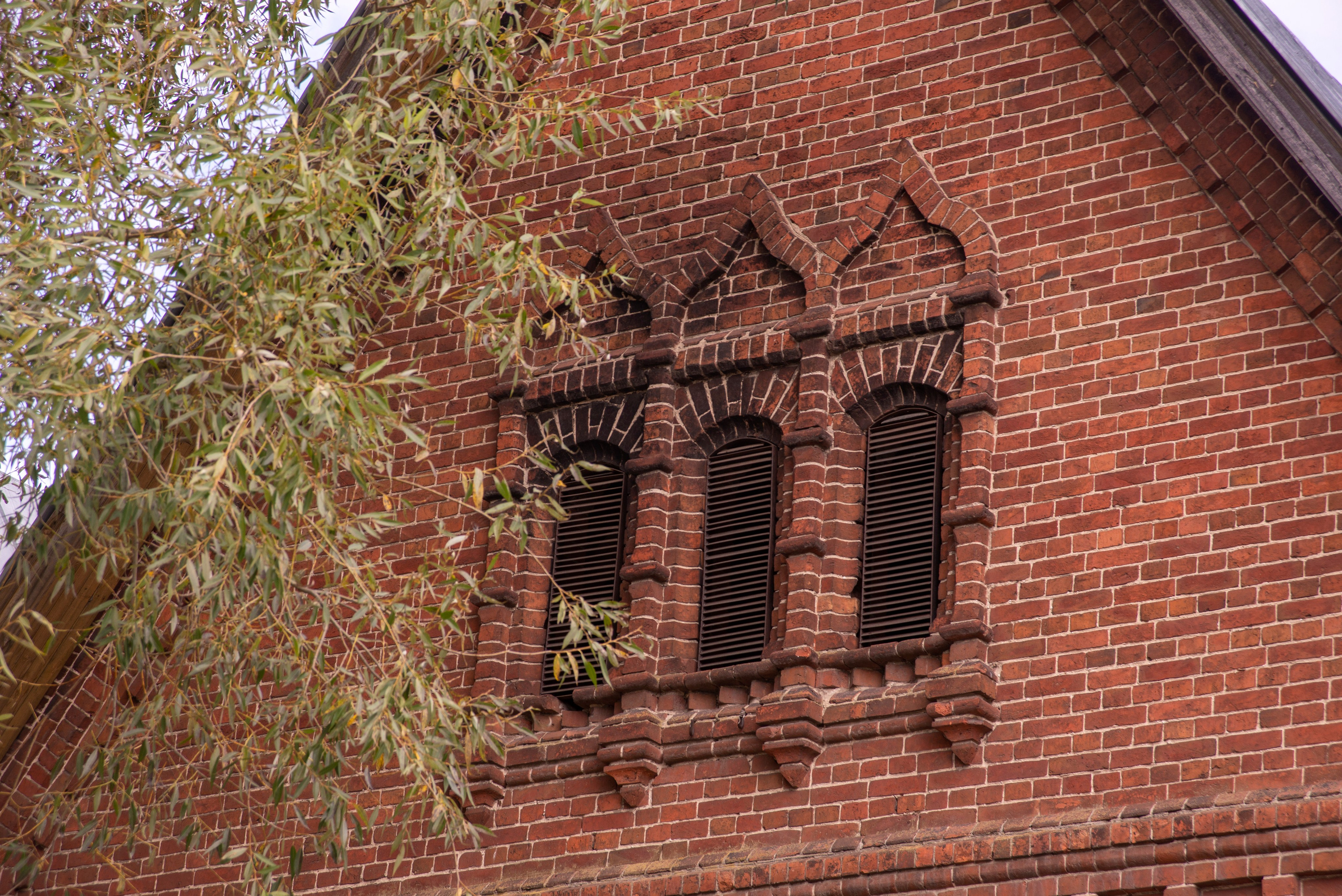 Гусь-Хрустальный. 19 сентября 2025. Игорь Жучков. Россия увиденная глазами путешествующего фотографа