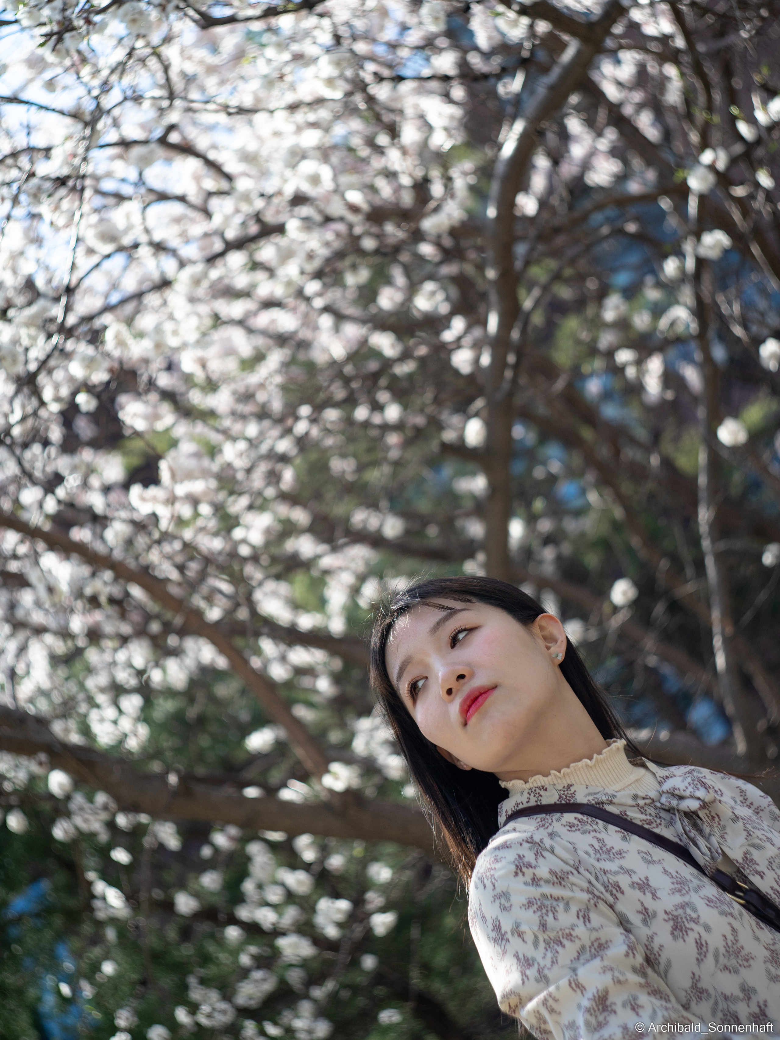 장유진 [jiang yu jin] — Korean student of the School of International Edu. Photographer in Guangzhou, China. Archibald Sonnenhaft