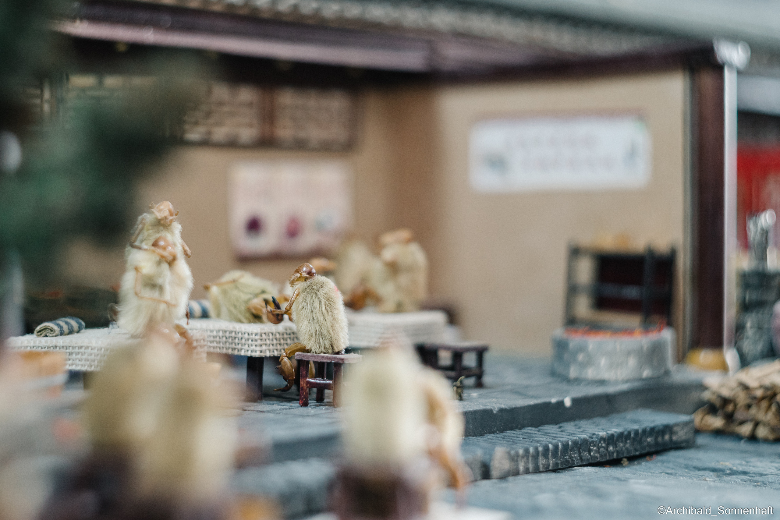 Tianjin specialty “hairy monkey”. Photographer in Guangzhou, China. Archibald Sonnenhaft