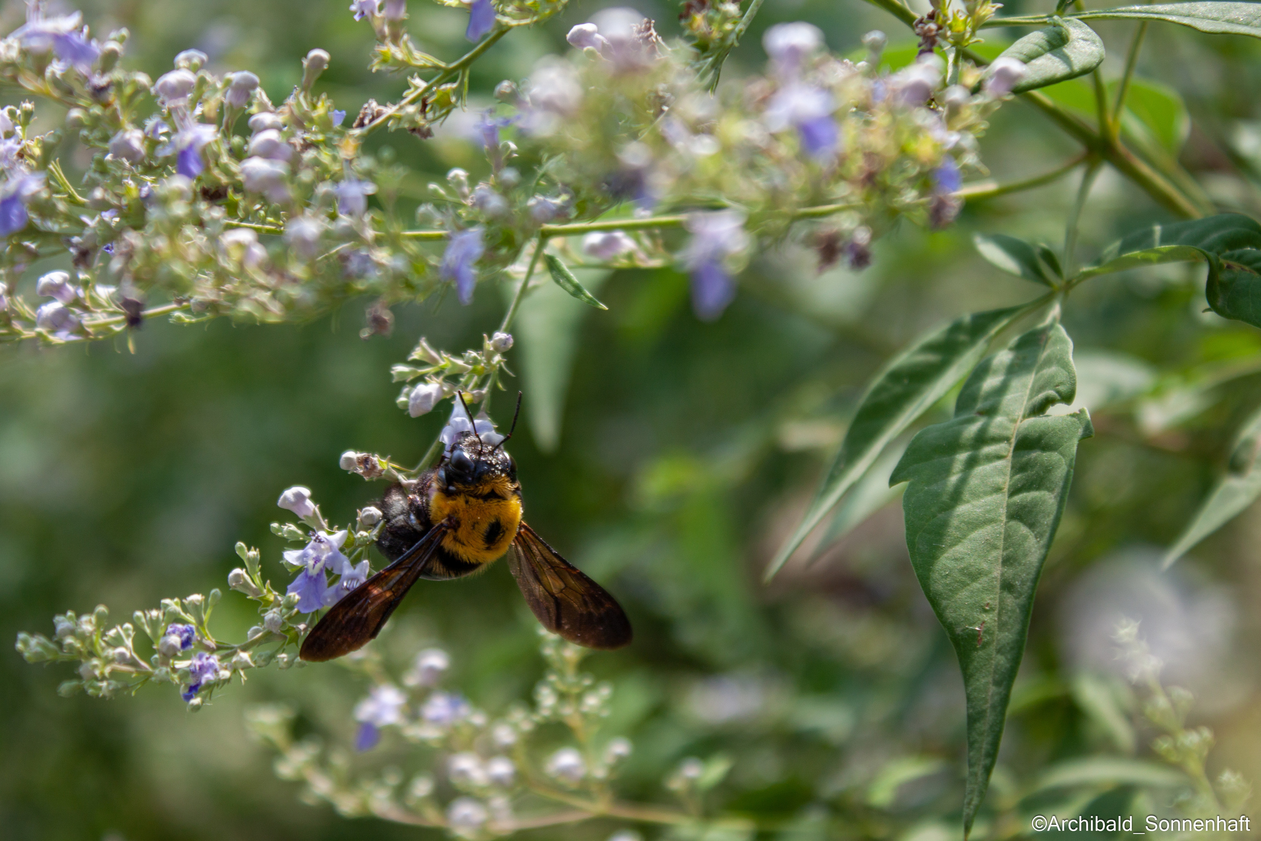 Tennis morning. Photographer in Guangzhou, China. Archibald Sonnenhaft