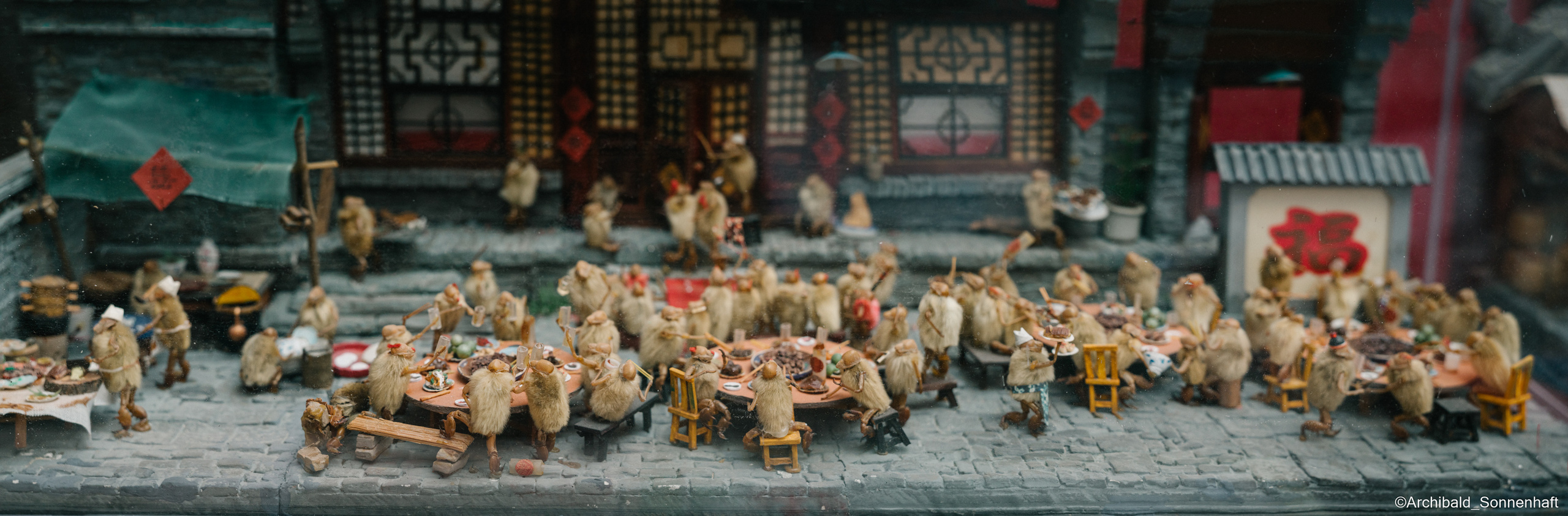 Tianjin specialty “hairy monkey”. Photographer in Guangzhou, China. Archibald Sonnenhaft