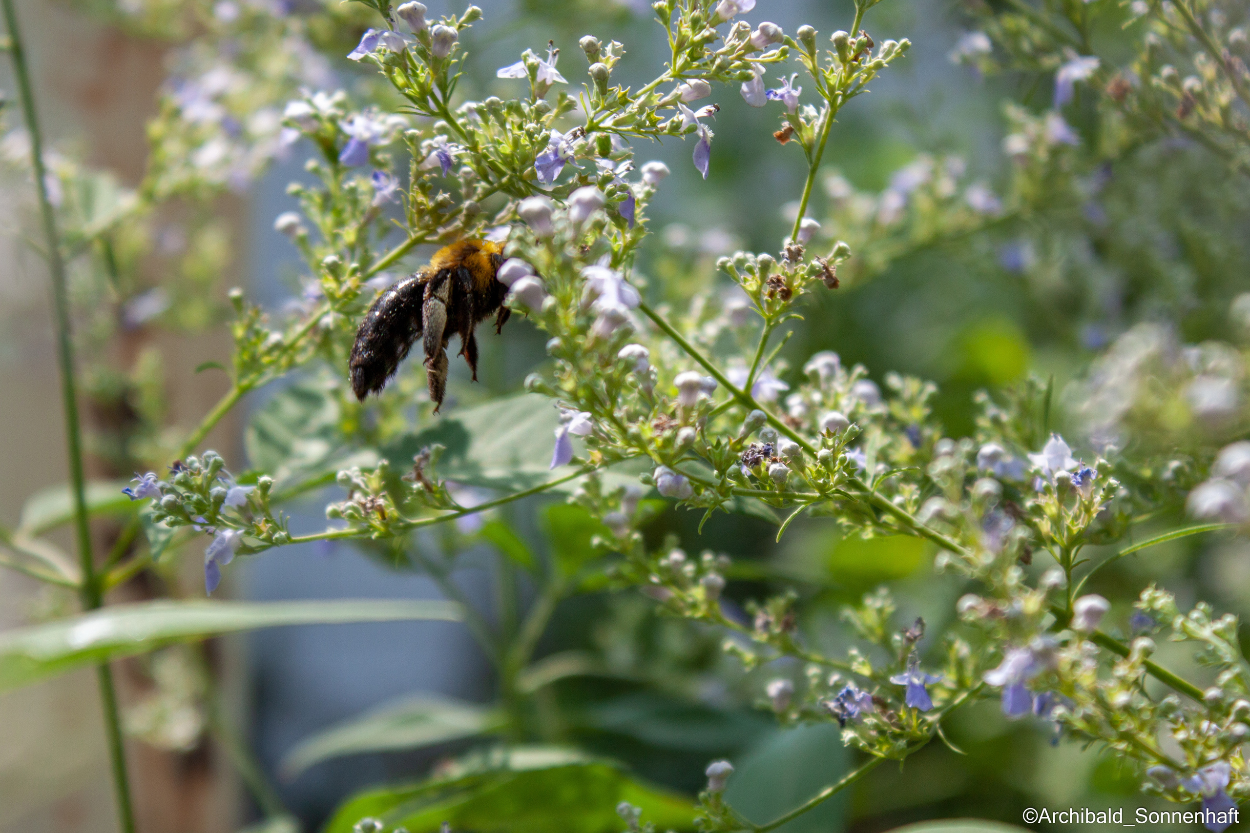 Tennis morning. Photographer in Guangzhou, China. Archibald Sonnenhaft