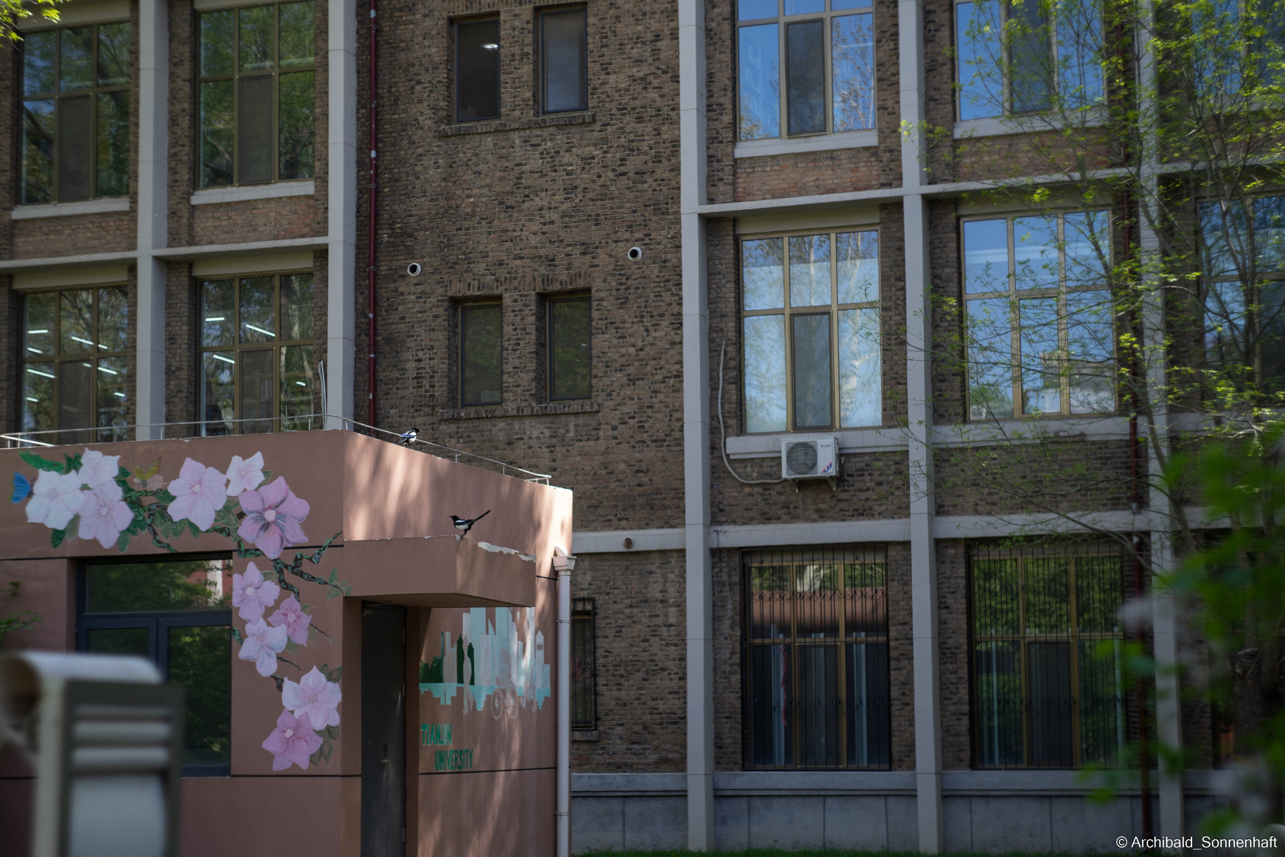 An unexpected walk around the university with my wife and argentine st. Photographer in Guangzhou, China. Archibald Sonnenhaft