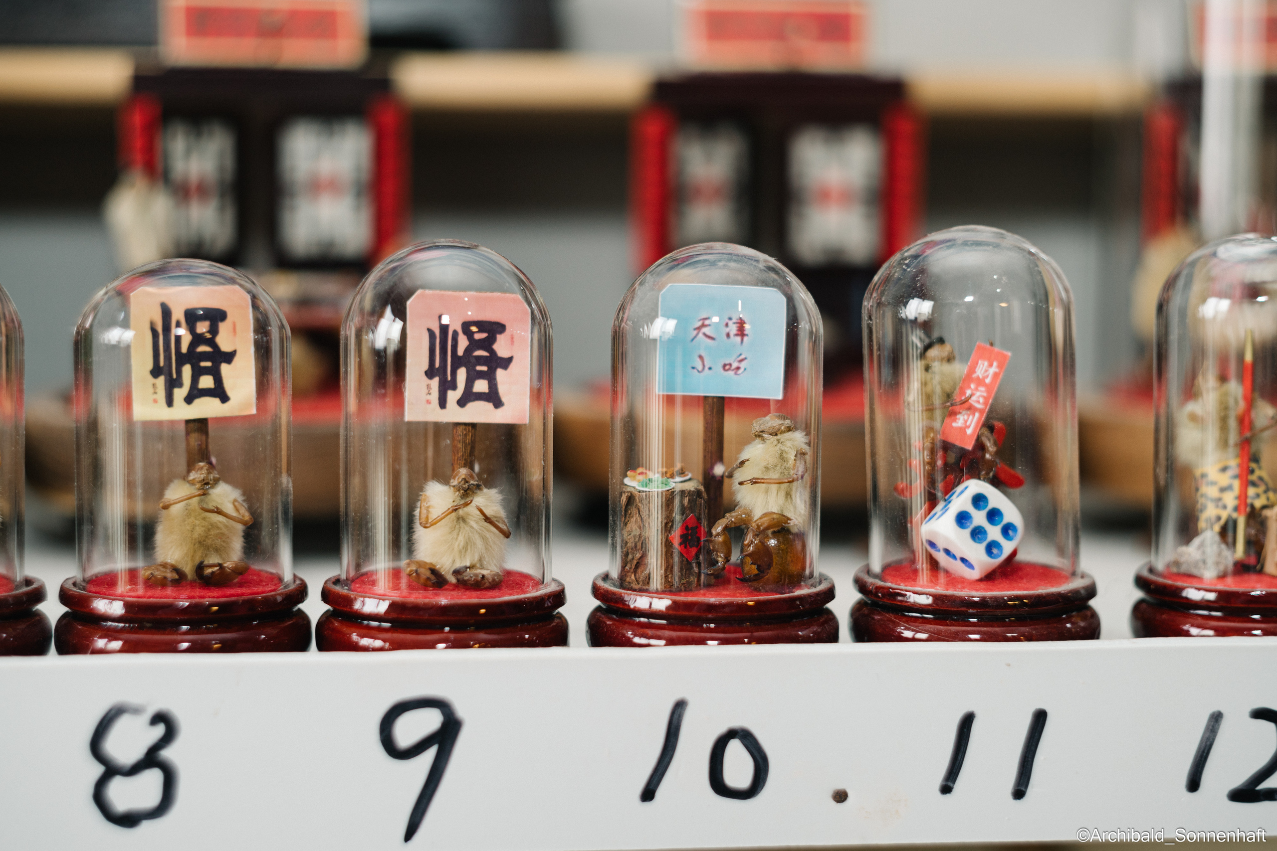 Tianjin specialty “hairy monkey”. Photographer in Guangzhou, China. Archibald Sonnenhaft