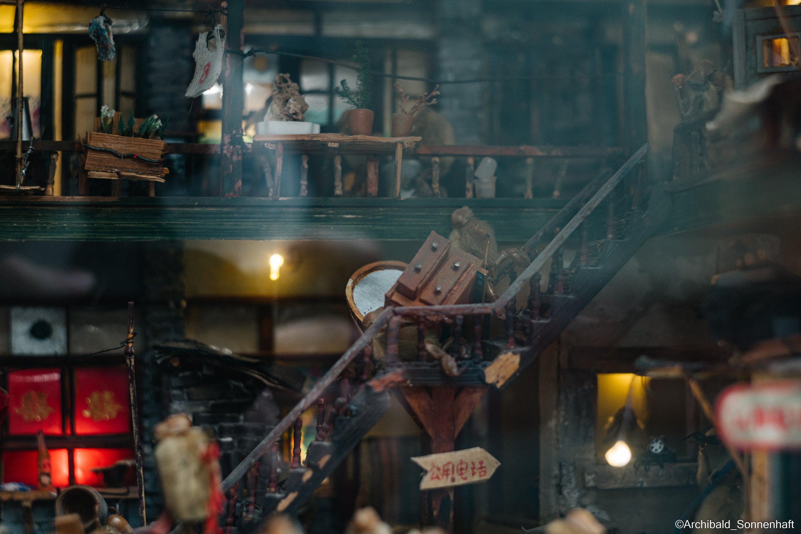 Tianjin specialty “hairy monkey”. Photographer in Guangzhou, China. Archibald Sonnenhaft